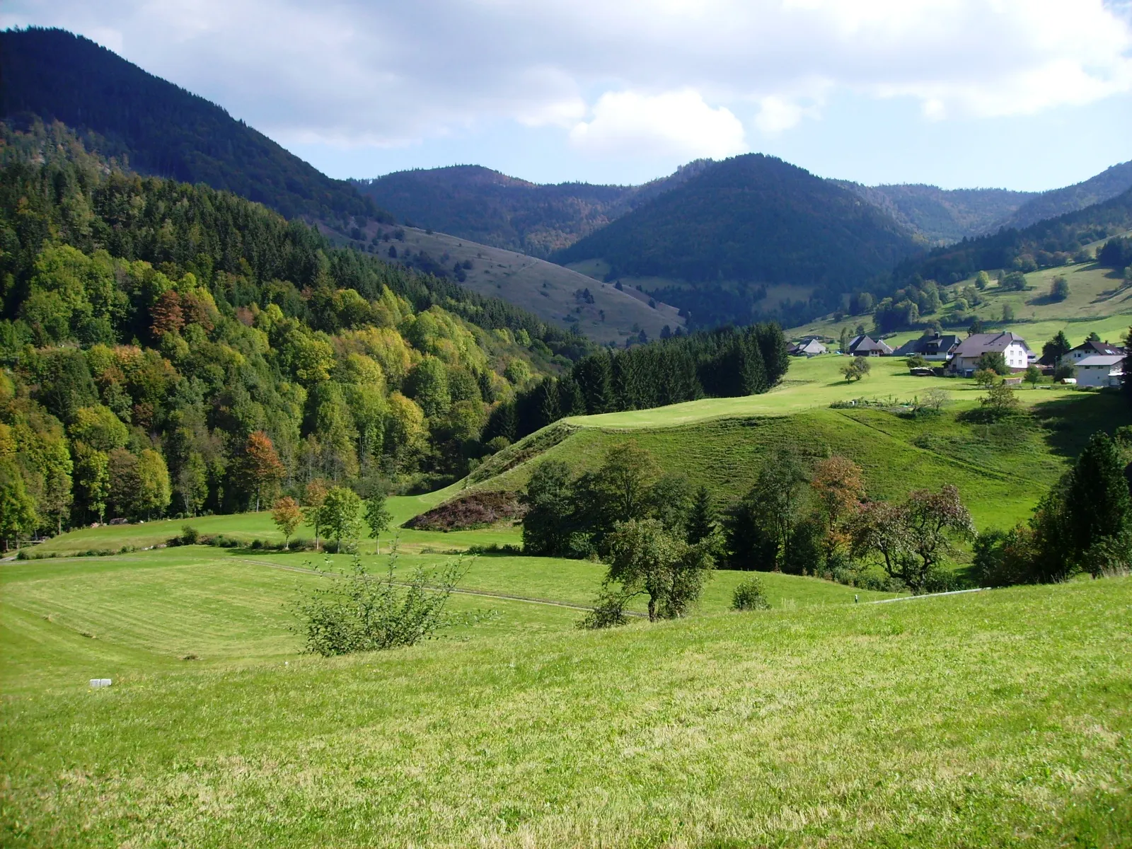 Photo showing: Gletscherkessel Präg Schwarzwald