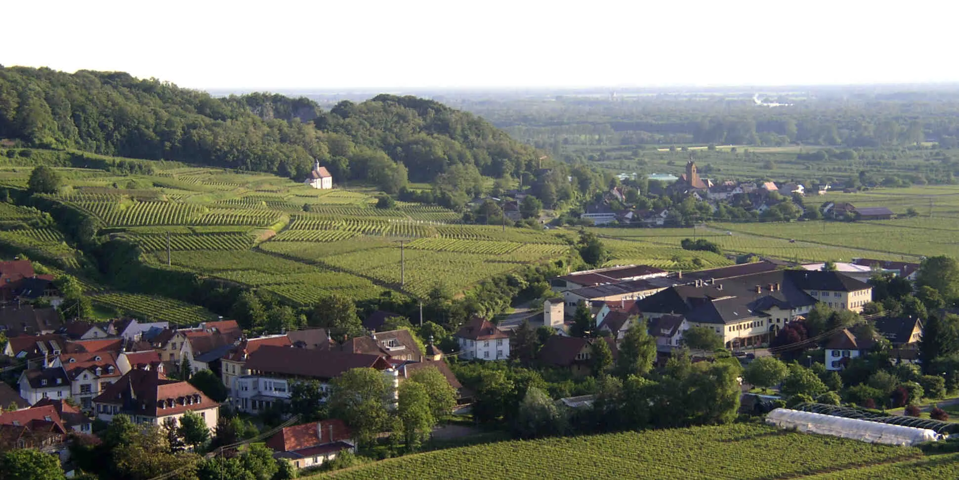 Photo showing: Mer siiht e Deil vum Underdorf (Vordergrund), rächts dr "Winzerkäller" (dr groß Boikomplex vum Winzerverein). Obe ("Under em Wald") s Bandalion-Kirchli. Rächts "Under em Wald" Niiderrothwiil mit dr St. Michaelskirch.