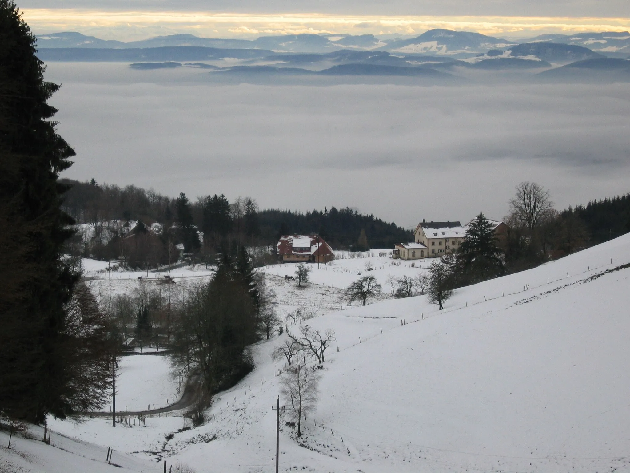 Photo showing: Blick auf Schweigmatt mit dem Lueginsland, dahinter Nebel über der Rheinebene, Schweizer Jura