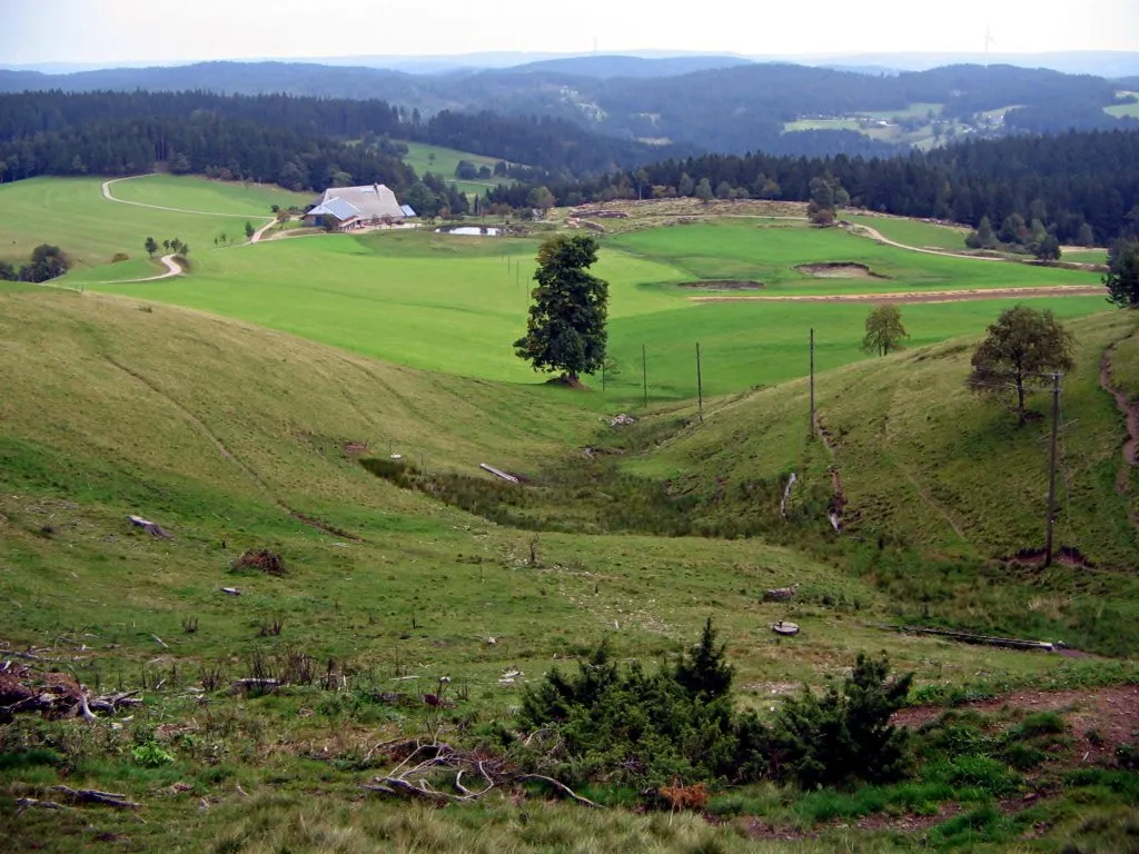 Photo showing: View from Rohrhardsberg down the upper Elz valley with Schänzlehof, Black Forest, Germany