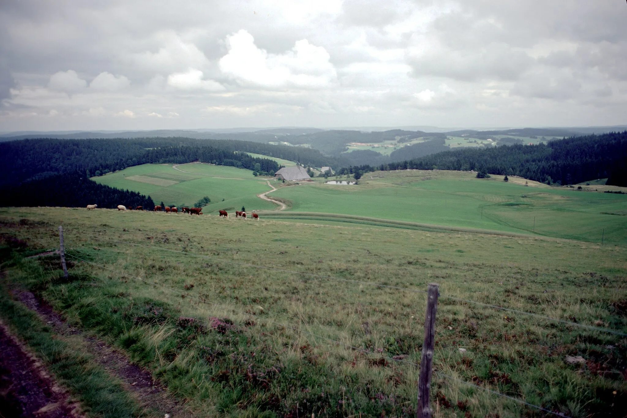 Photo showing: Paysage de la Forêt-Noire Centrale photographié depuis les pentes de la Rohrhardsberg (montagne au sommet plat de 1152 mètres au dessus du niveau de la mer). La Rohrhardsberg est située à l' Ouest de Triberg.
Rohrhardsberg, Mittlerer Schwarzwald, Baden-Württemberg, Allemagne.