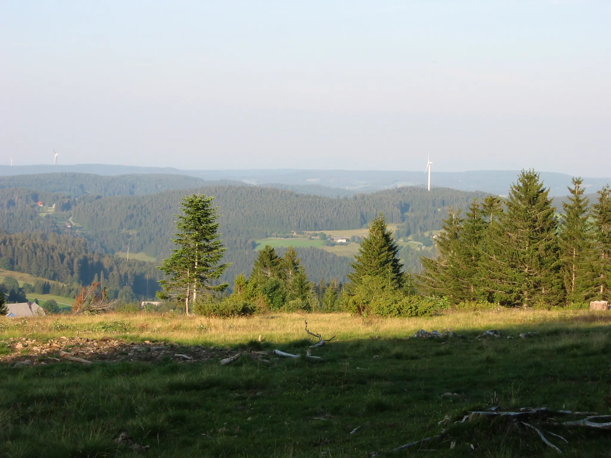 Photo showing: Rohrhardsberg, A mountain in the Black Forest, Germany