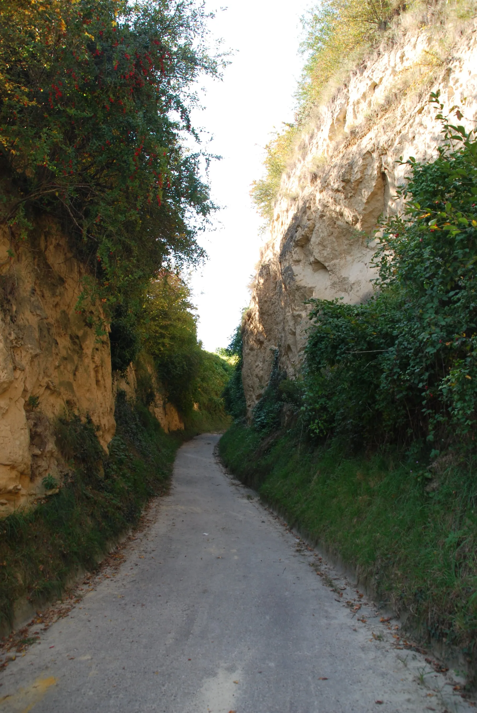 Photo showing: Lößhohlgasse Eichberg im Kaiserstuhl in Vogtsburg-Bickensohl