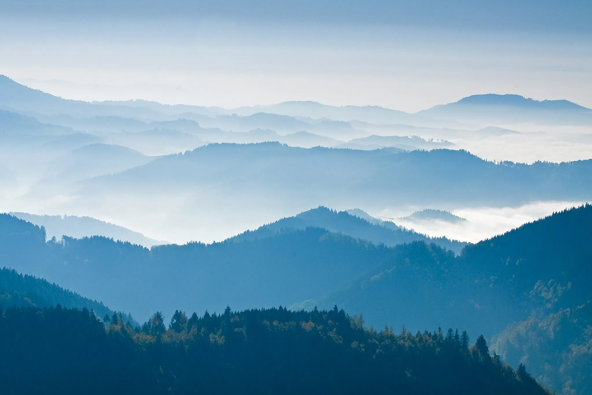 Photo showing: Vom Steinmäuerle am Schliffkopf hat man eine beeindruckende Aussicht auf den Schwarzwald Richtung Südwesten