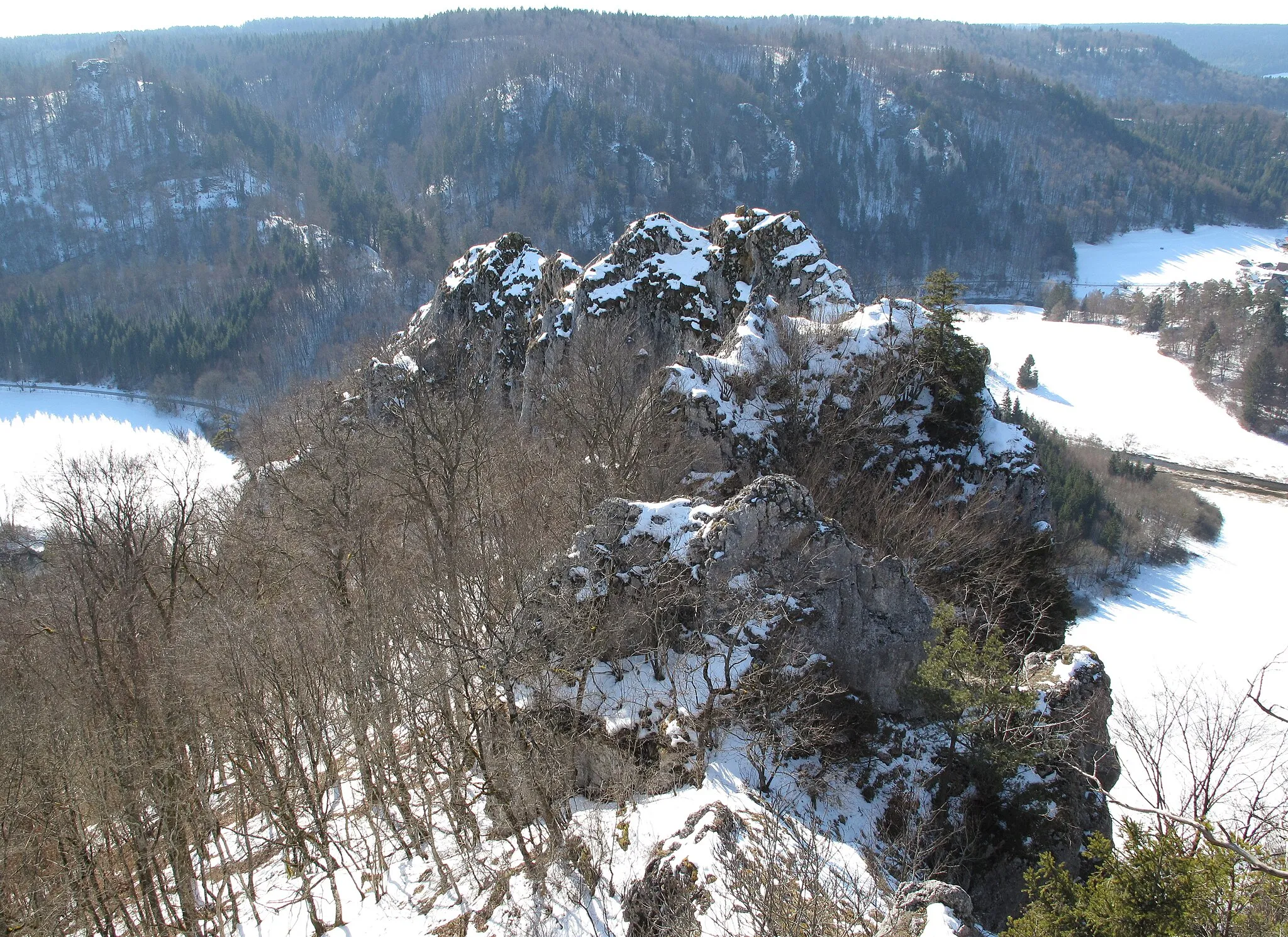 Photo showing: Blick vom Aussichtpunkt auf den Kamm des Stiegelesfelsen. Links oben: Ruine Kallenberg auf der gegenüber gelegenen Donauseite