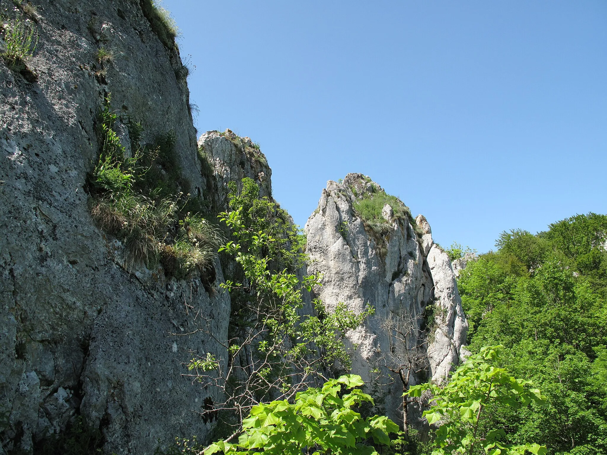 Photo showing: Hintere, der Berghochfläche zugewandte Felskammabschnitte - Ansicht vom nördlichen Ende der oberen Burg.
