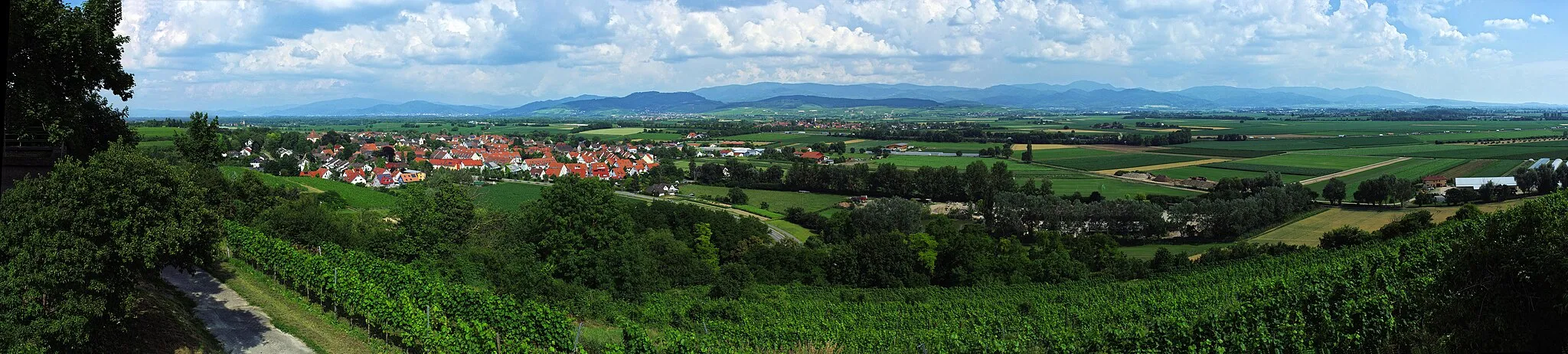 Photo showing: Blick von St. Erentrudiskapelle über Munzingen