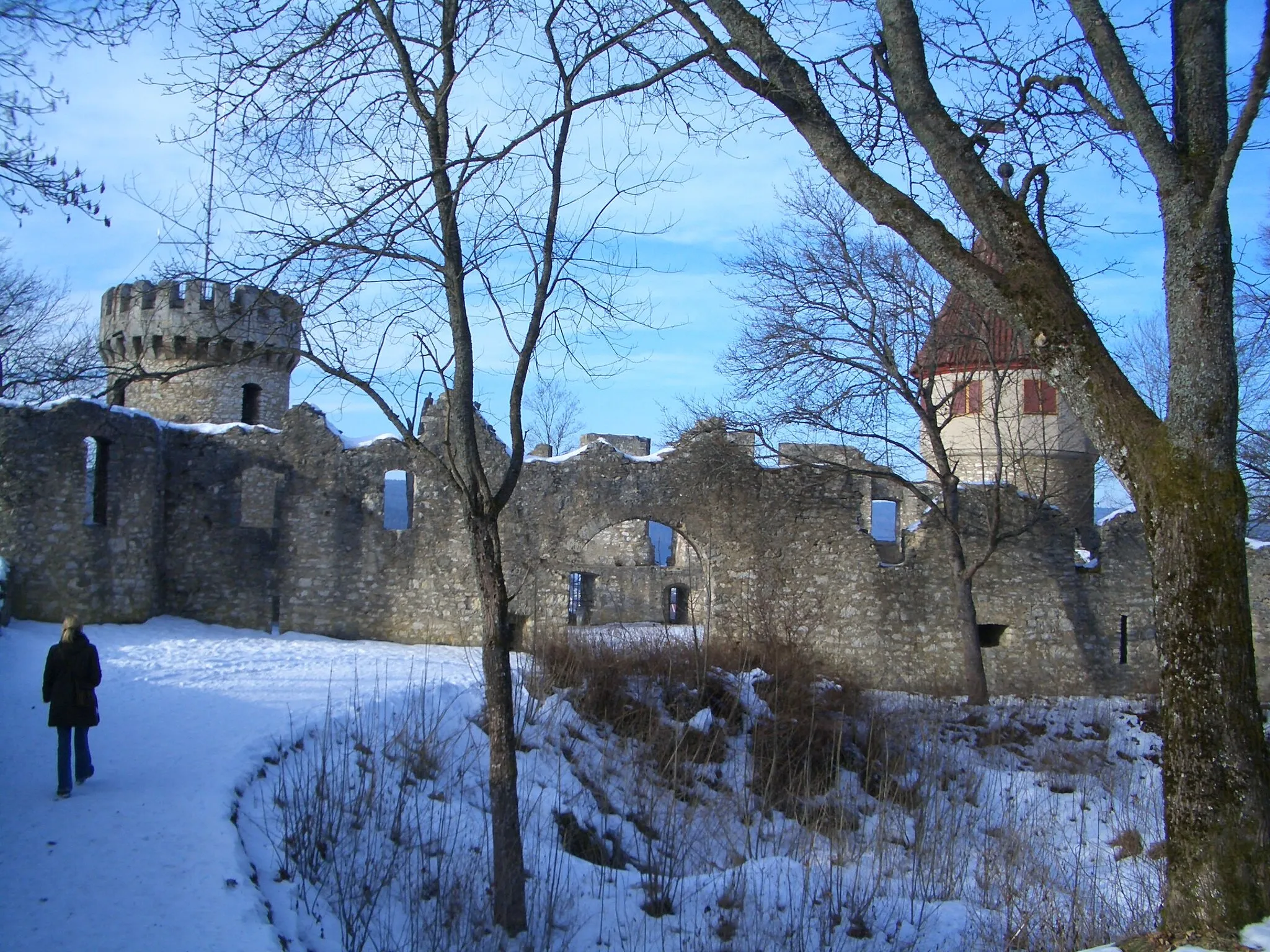 Photo showing: Castle of Honberg