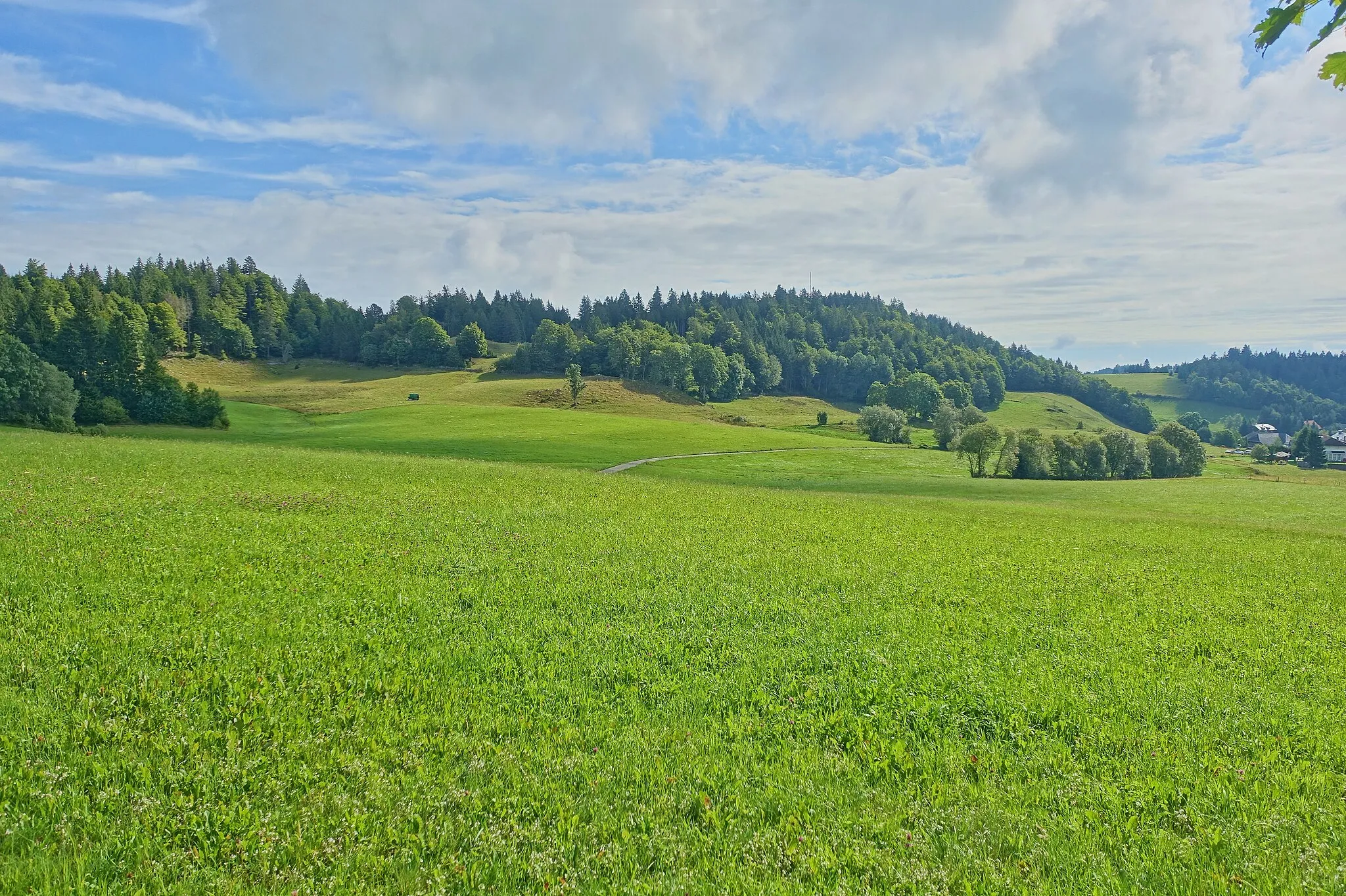 Photo showing: Blick auf Aussichtspunkt Lampenschweine und Oberibach