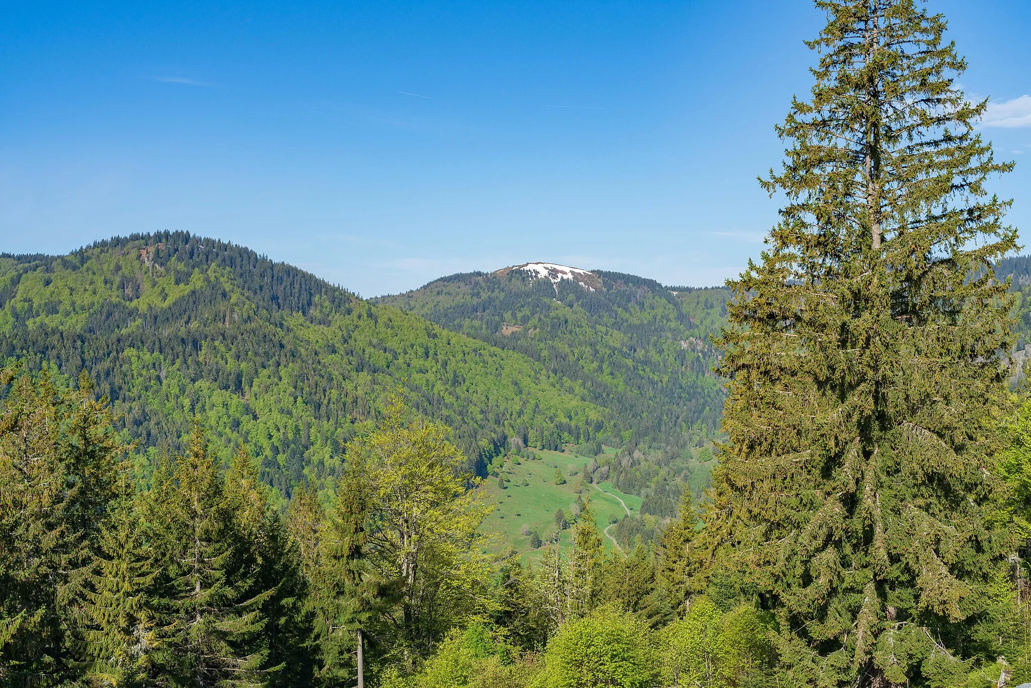 Photo showing: Blick zum Herzogenhorn vom Köpfle