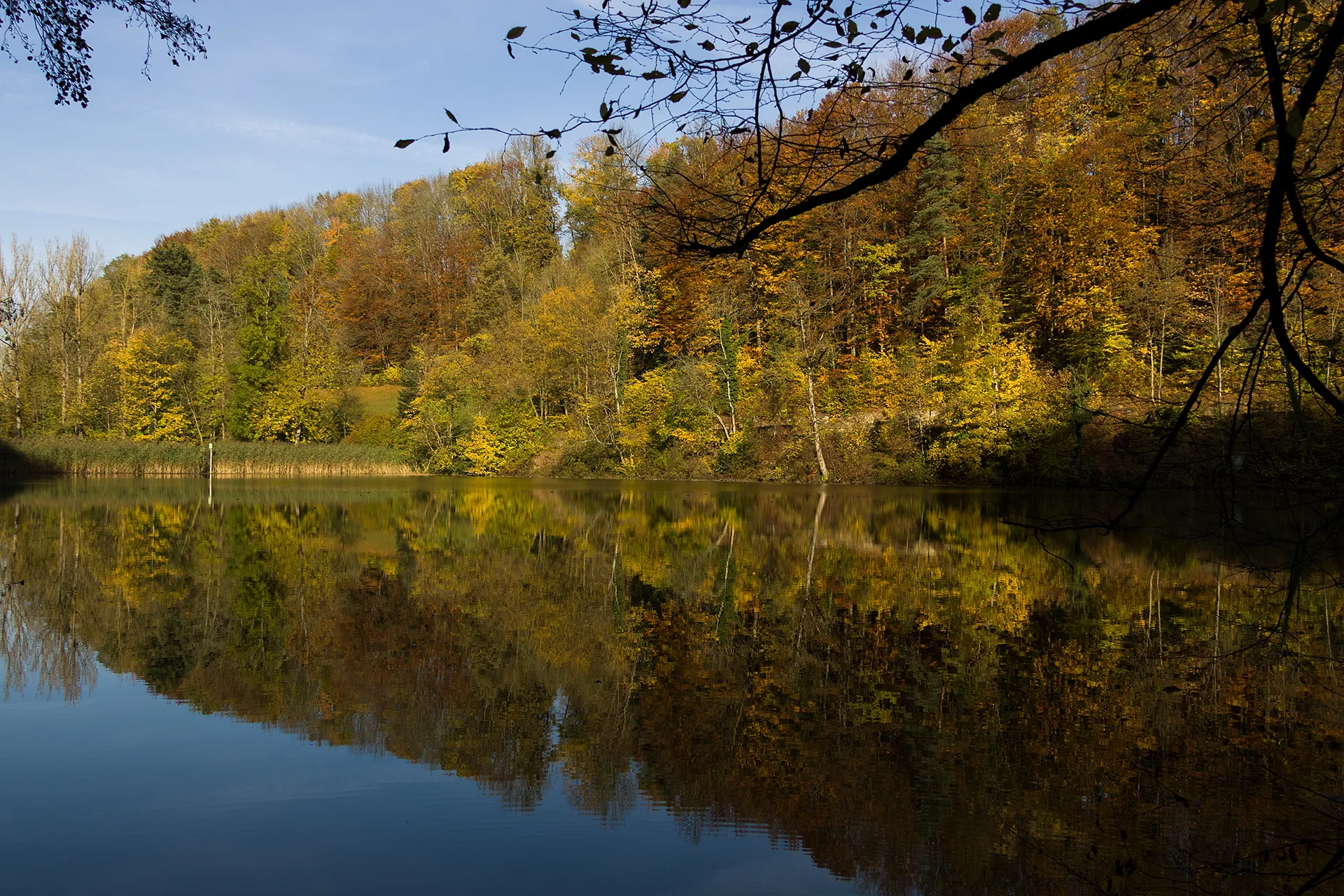 Photo showing: Weiher in Seewen (SO)