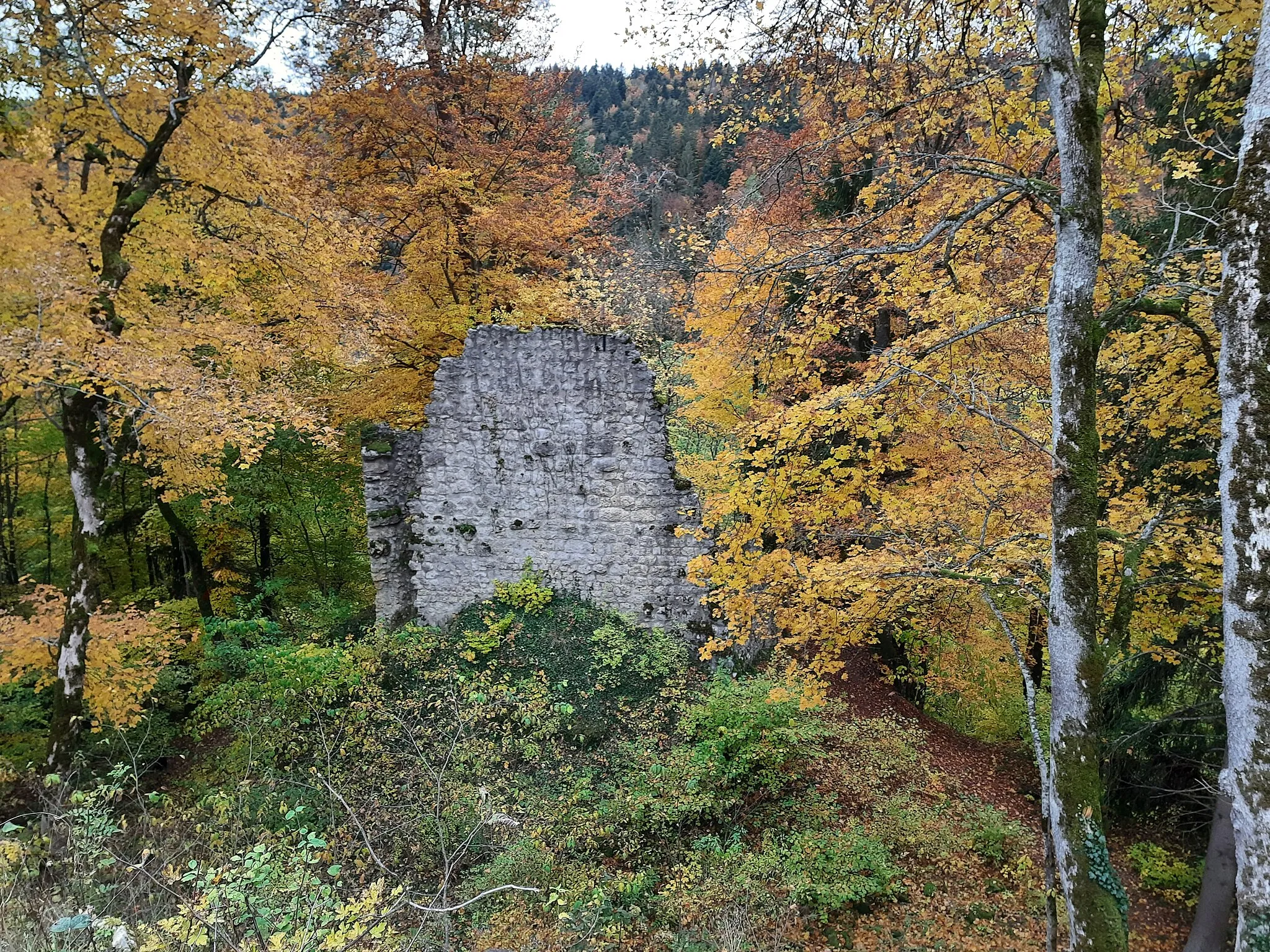 Photo showing: Ruine Kraftstein im Herbstwald