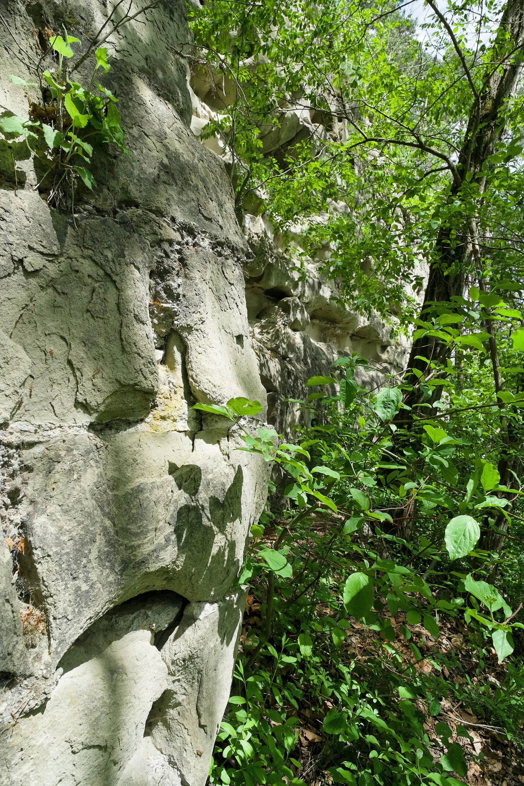 Photo showing: Castle ruin Hüneberg, Sipplingen, county Bodenseekreis, Baden Wurttemberg, Germany