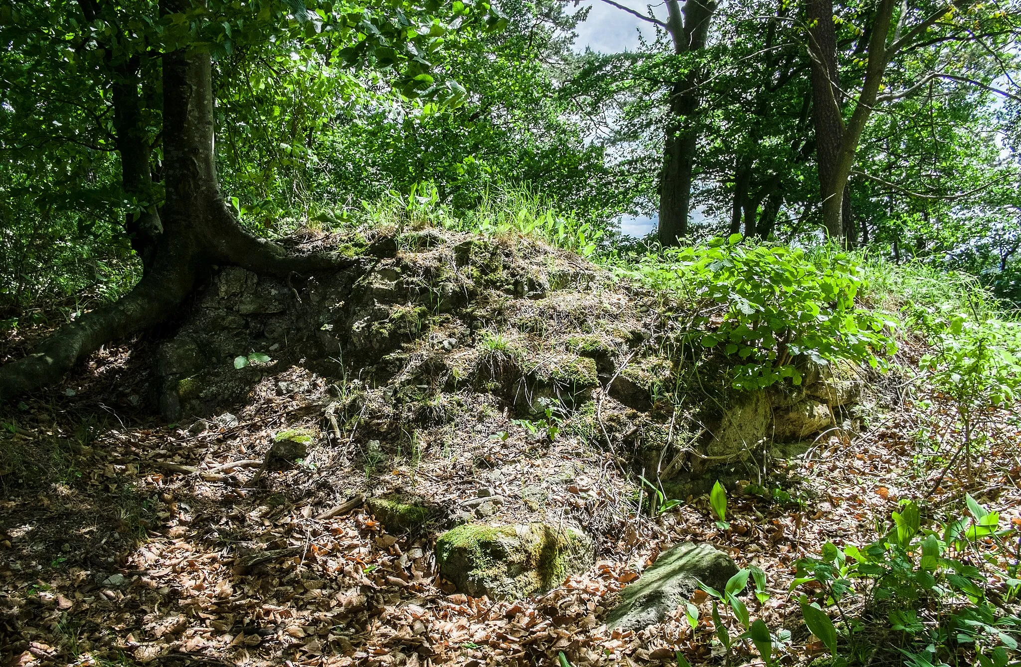 Photo showing: Castle ruin Hüneberg, Sipplingen, county Bodenseekreis, Baden Wurttemberg, Germany