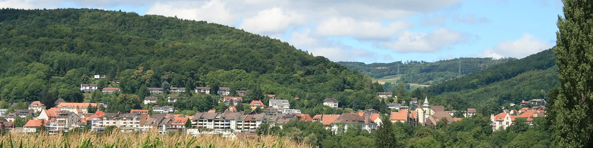 Photo showing: City of Waldshut, Waldshut-Tiengen, Germany