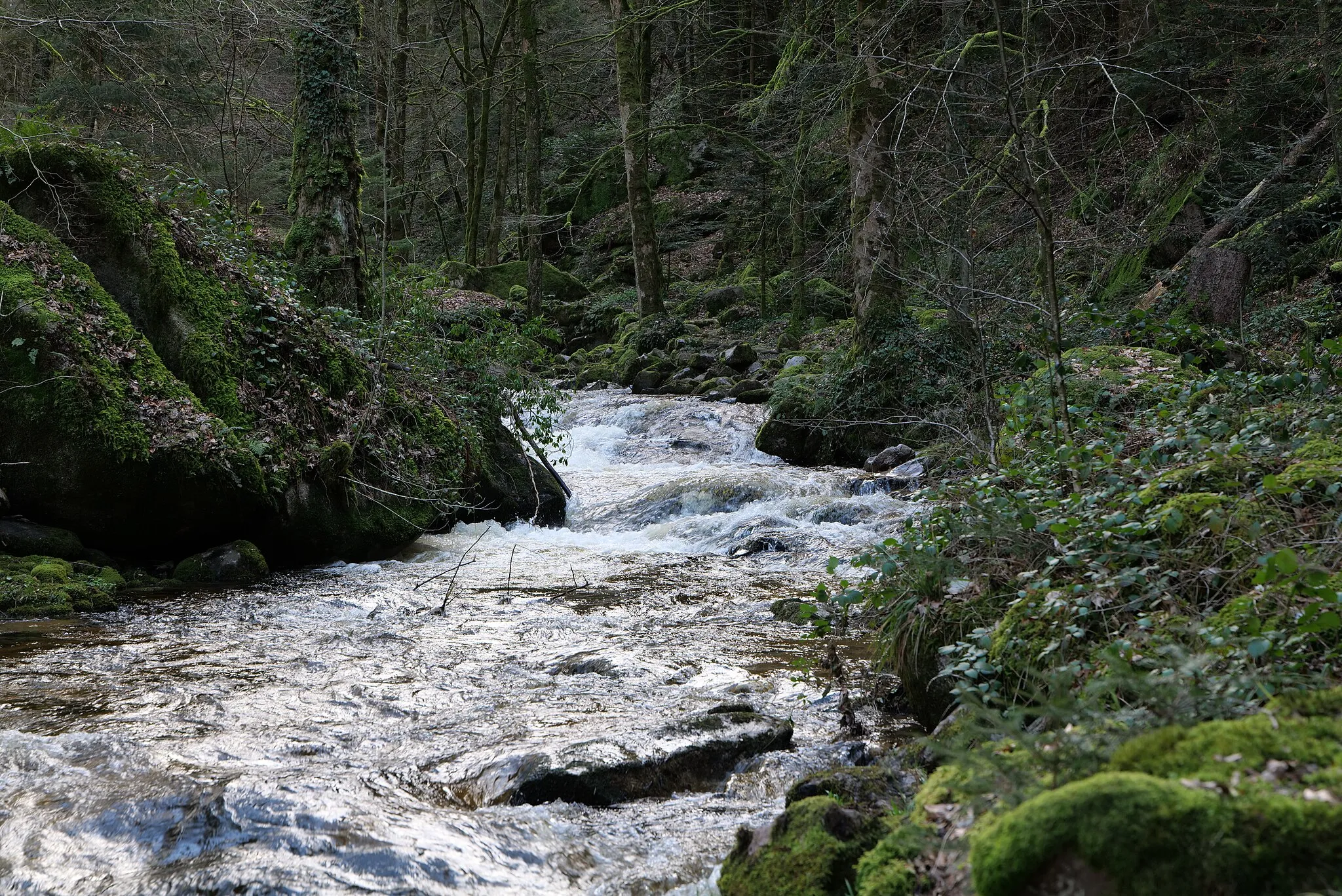 Photo showing: Grobbach bei Baden-Baden am 13. März 2020.