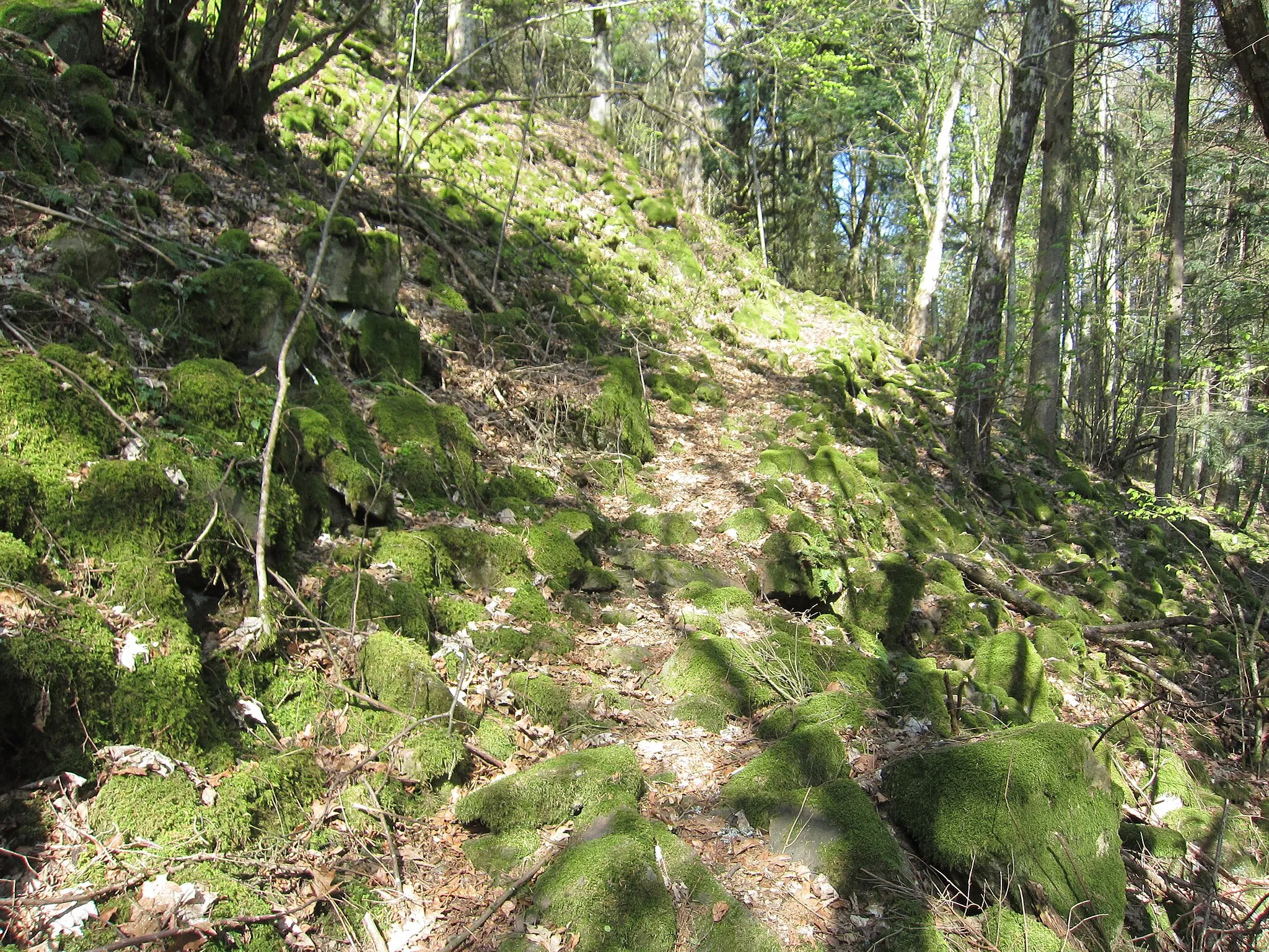 Photo showing: Rödelsburg, kink to the left, from there the trail runs westwards