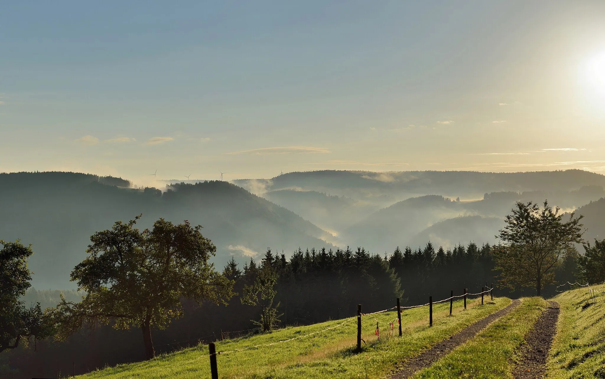 Photo showing: Schonach, Black Forest: sunrise and morning haze.