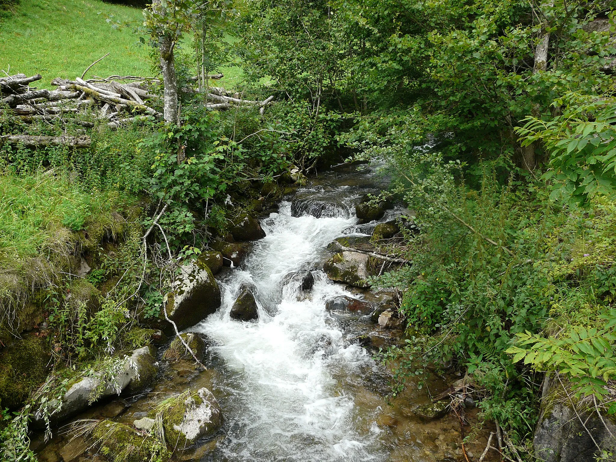 Photo showing: Angenbach upstream of Rohmatt
