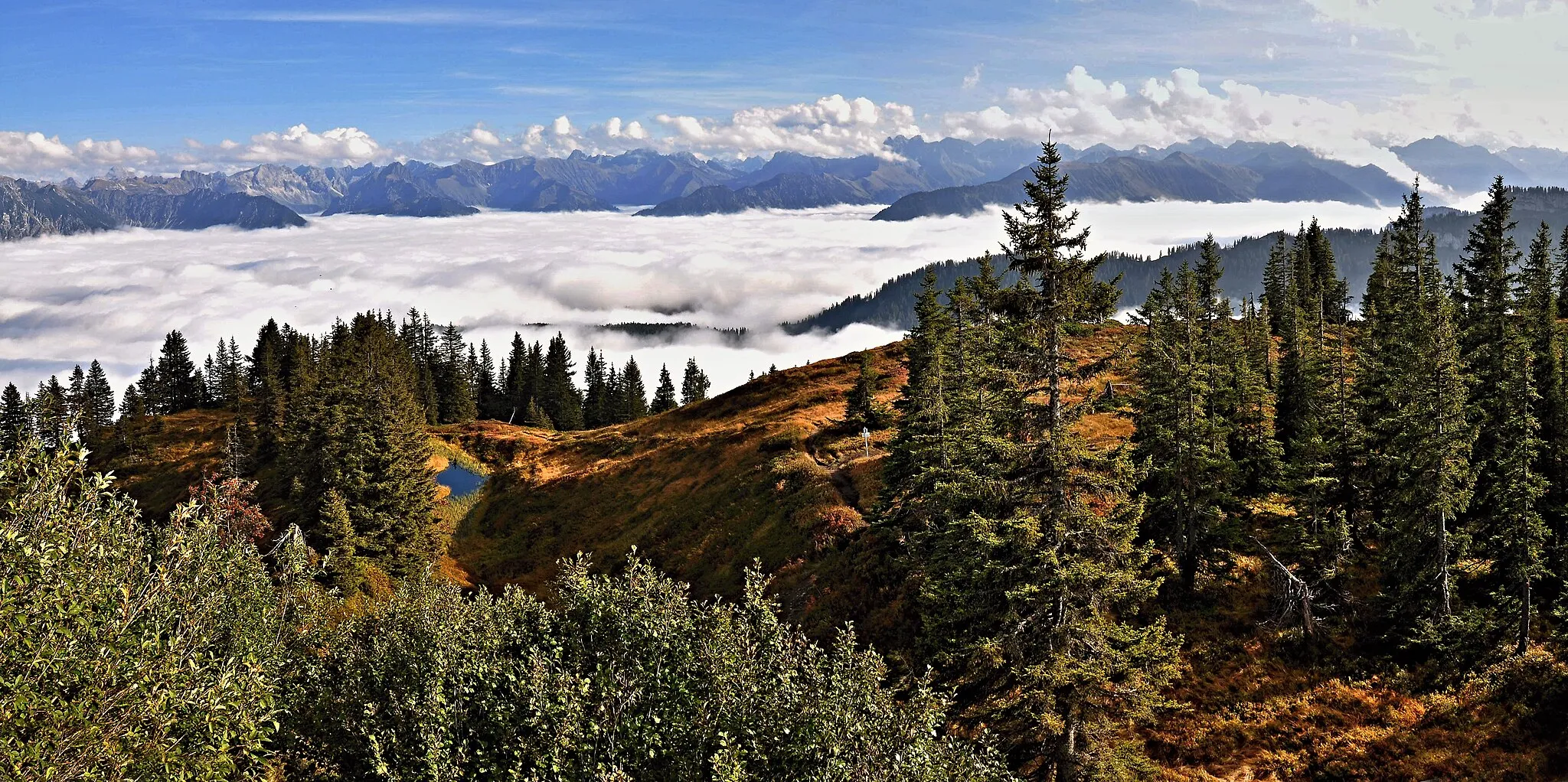 Photo showing: Naturpark Allgäuer Nagelfluhkette- Herbstlicher Zauber am Wannenkopf bei Obermaiselstein mit Blick auf die Allgäuer Alpen über dem Wolkenmeer im Illertal bei Oberstdorf.