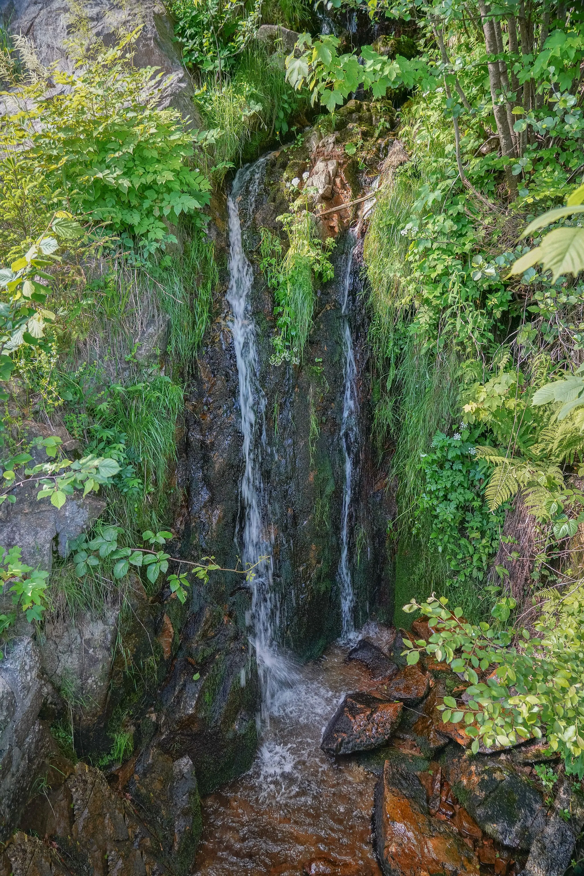 Photo showing: Schönenbach-Wasserfall bei St. Blasien