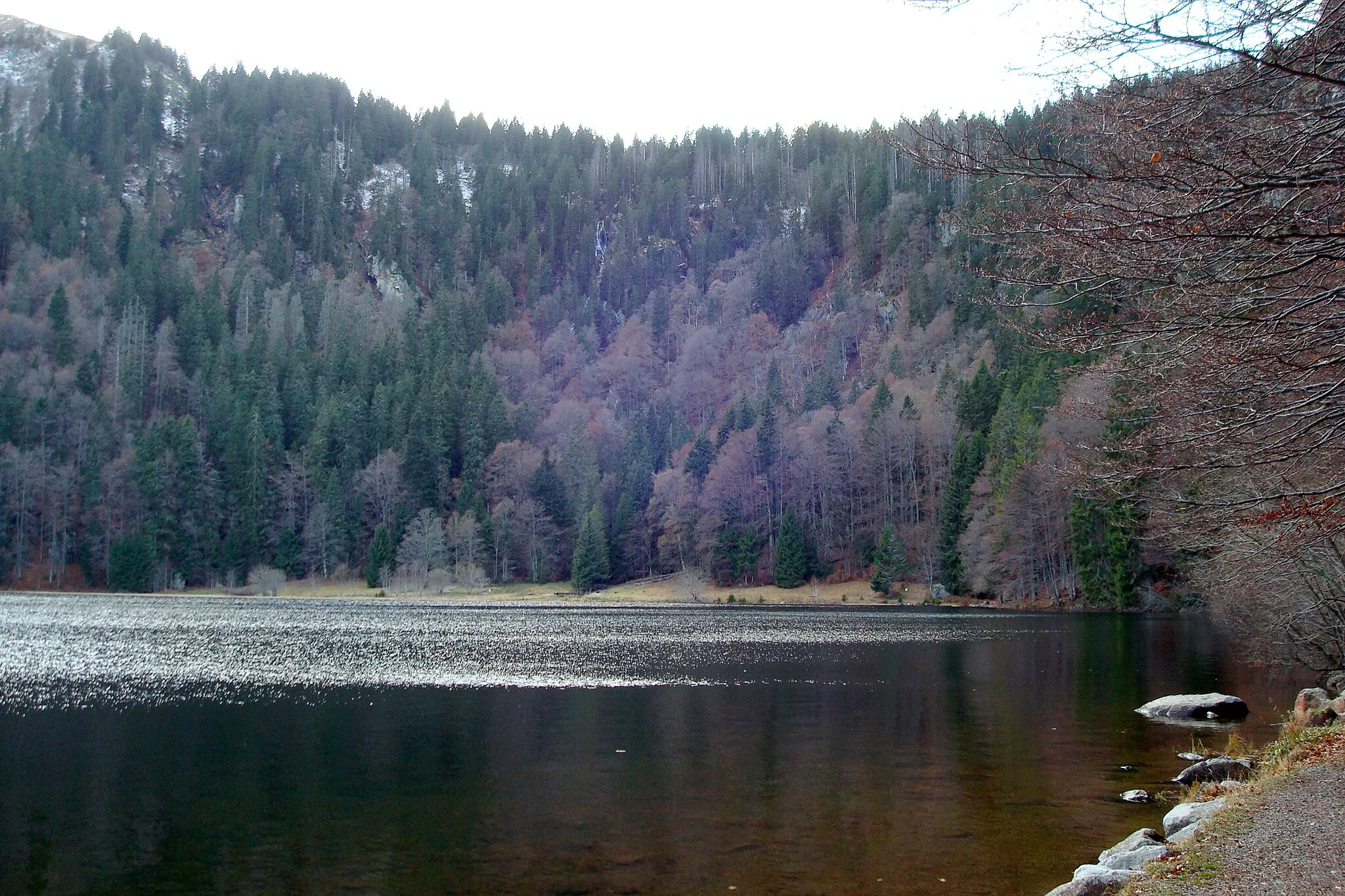 Photo showing: Blick über den Feldsee von Nordosten nach Südwesten, Spätnachmittag Ende November.