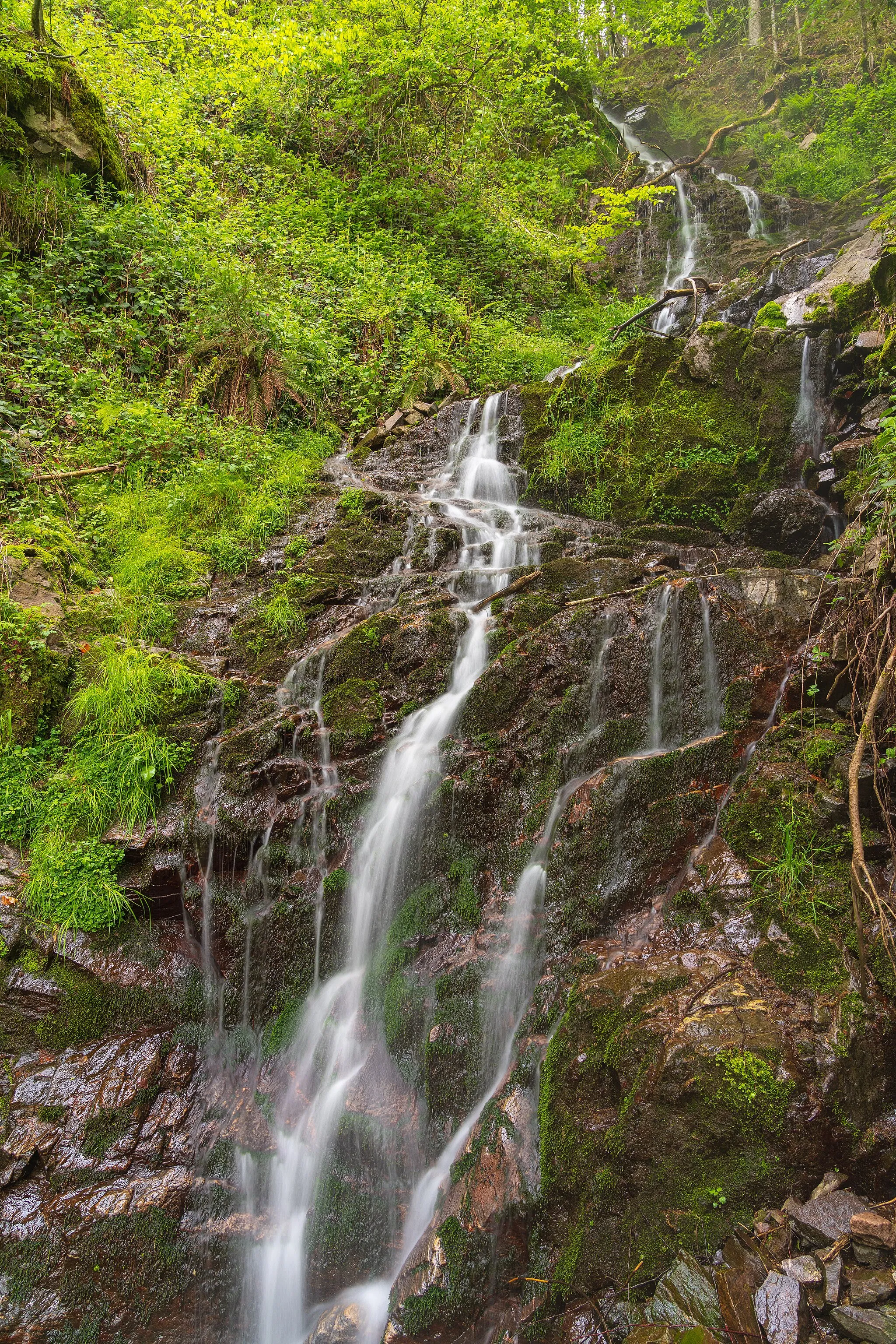 Photo showing: Dohlenbach-Wasserfall