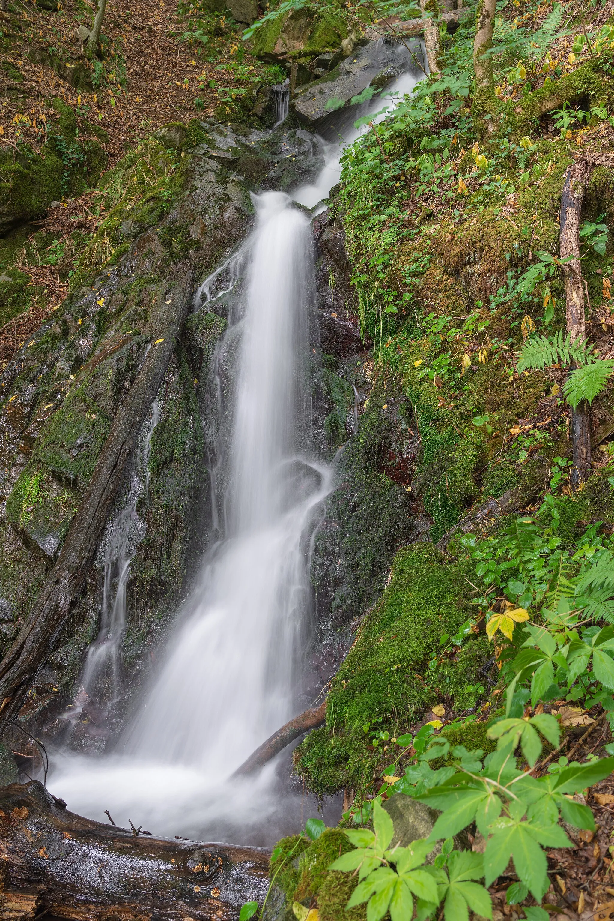 Photo showing: Wasserfälle des Retschengrabens in der Berauer Halde