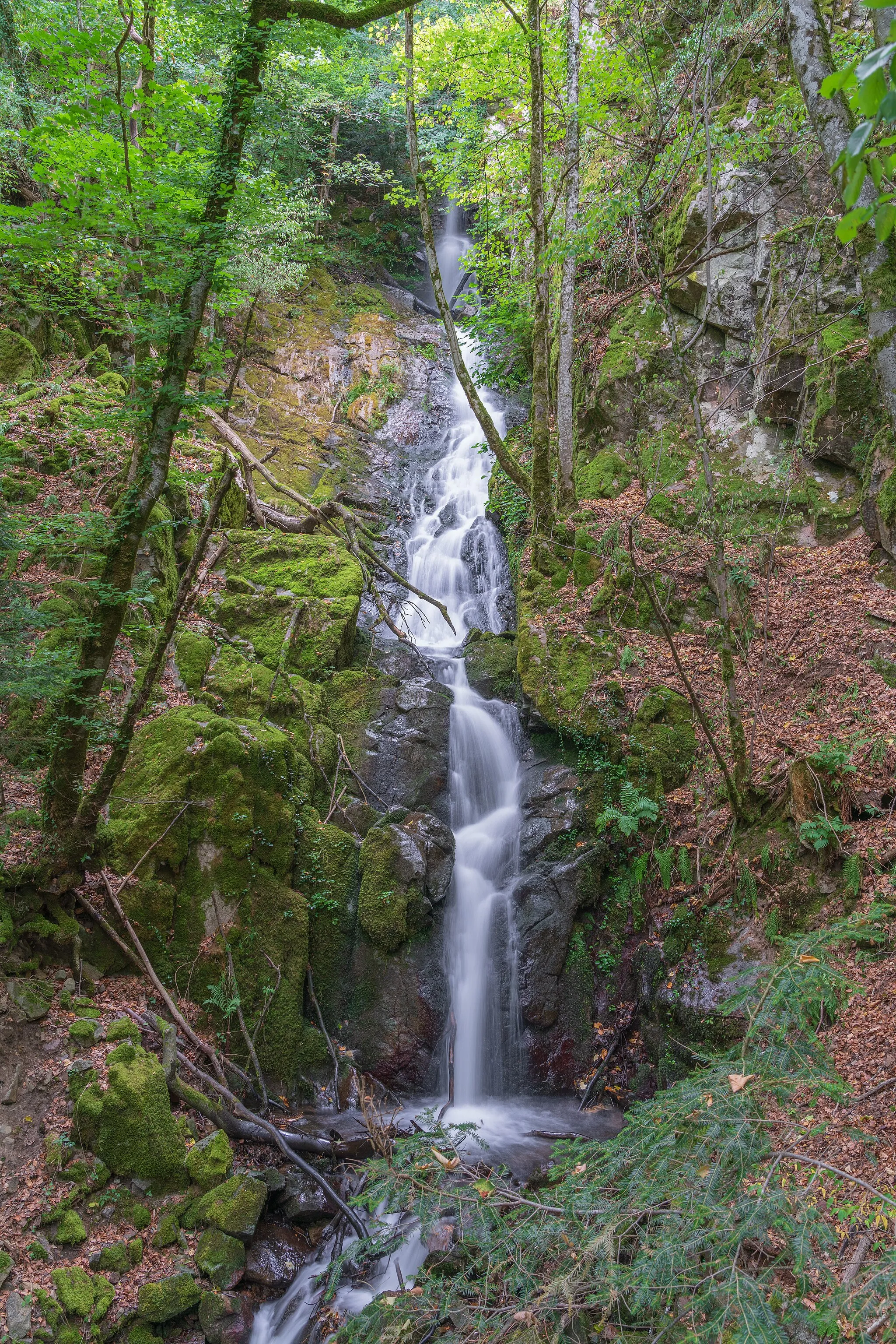 Photo showing: Wasserfälle des Retschengrabens in der Berauer Halde