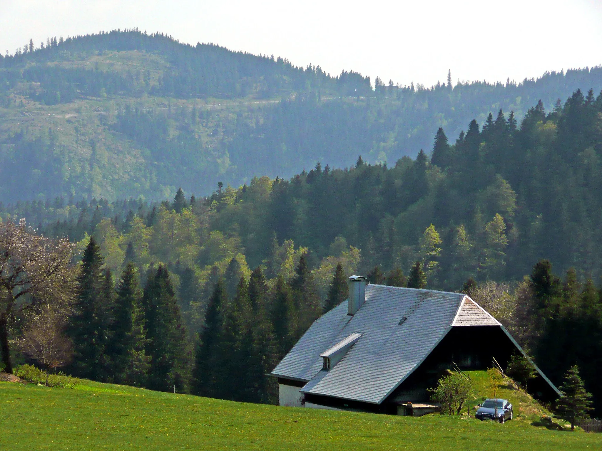 Photo showing: Schwarzwaldhof ("Urbershütte") an der Rinkenstraße