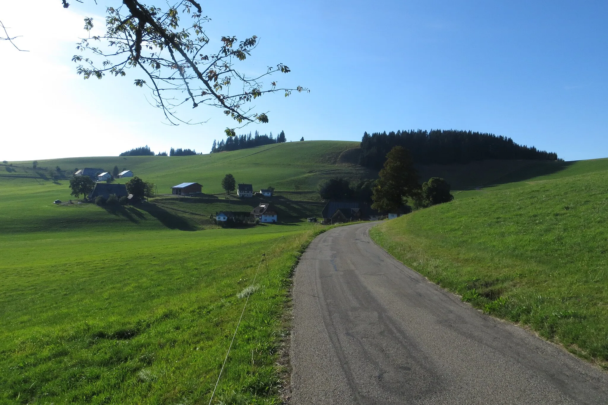 Photo showing: The Hohwart from the Vogtjockeleshof to the southeast. Black Forest, Baden-Wuerttemberg, Germany.
