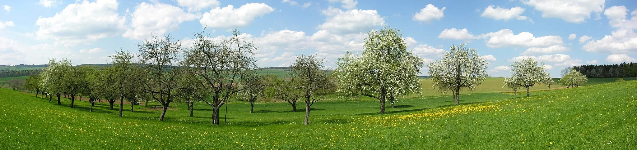 Photo showing: Germany, Baden-Württemberg,

Orchard near Watterdingen