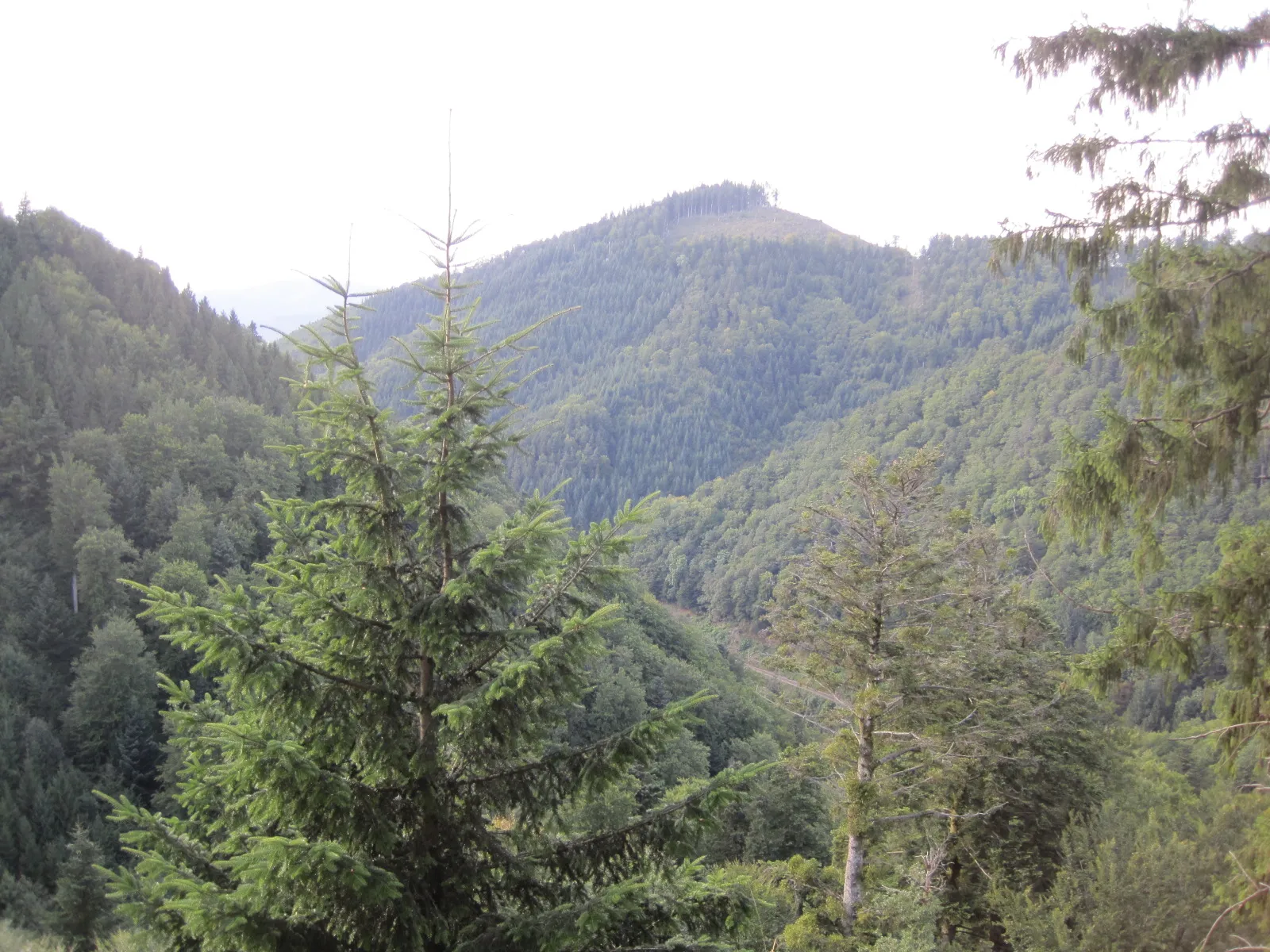 Photo showing: Blick in das Höllental. Unten ist die Trasse der Höllenalbahn zu sehen.