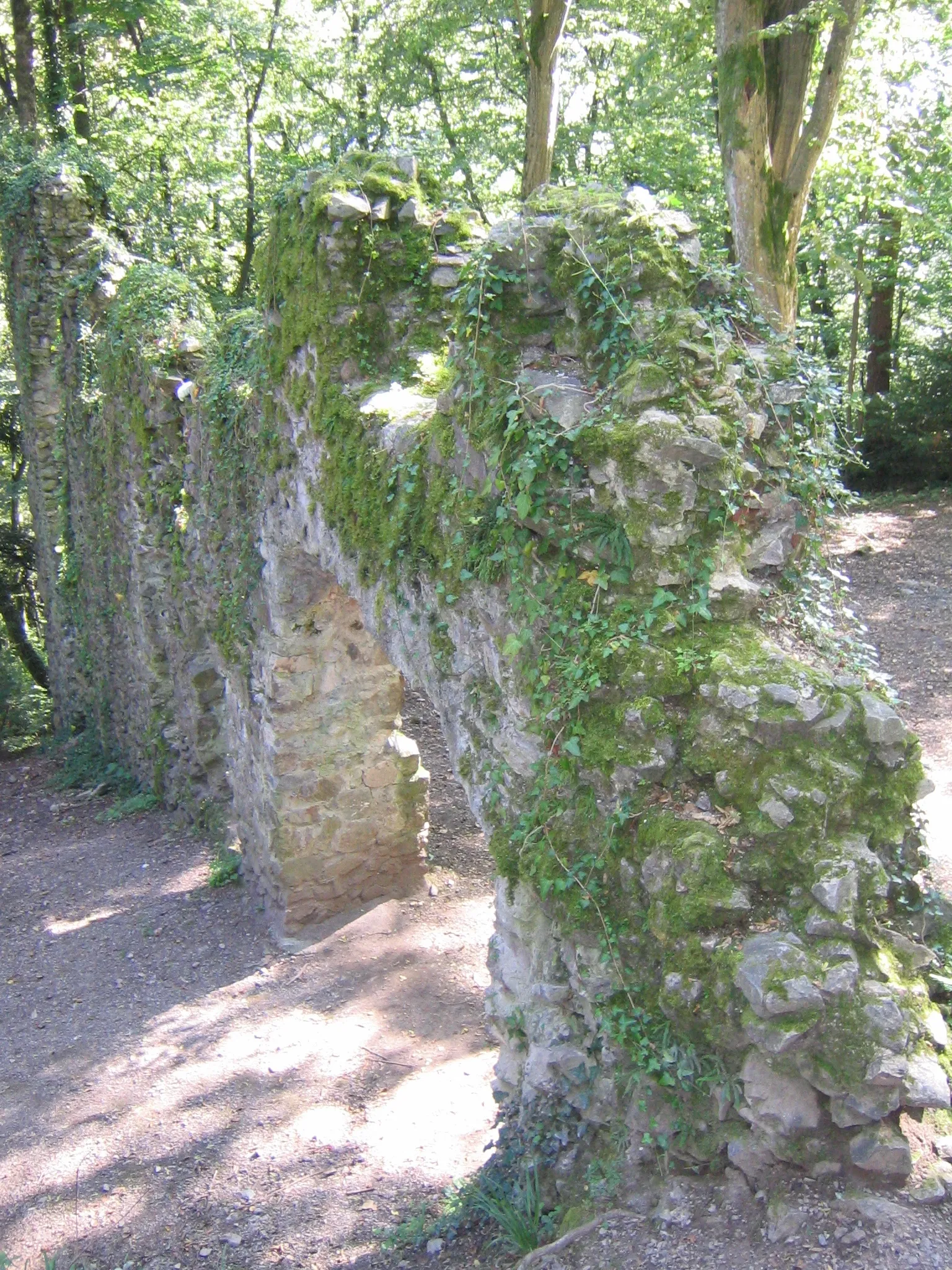 Photo showing: Ruins of castle Wiesneck at Buchenbach, Black Forest