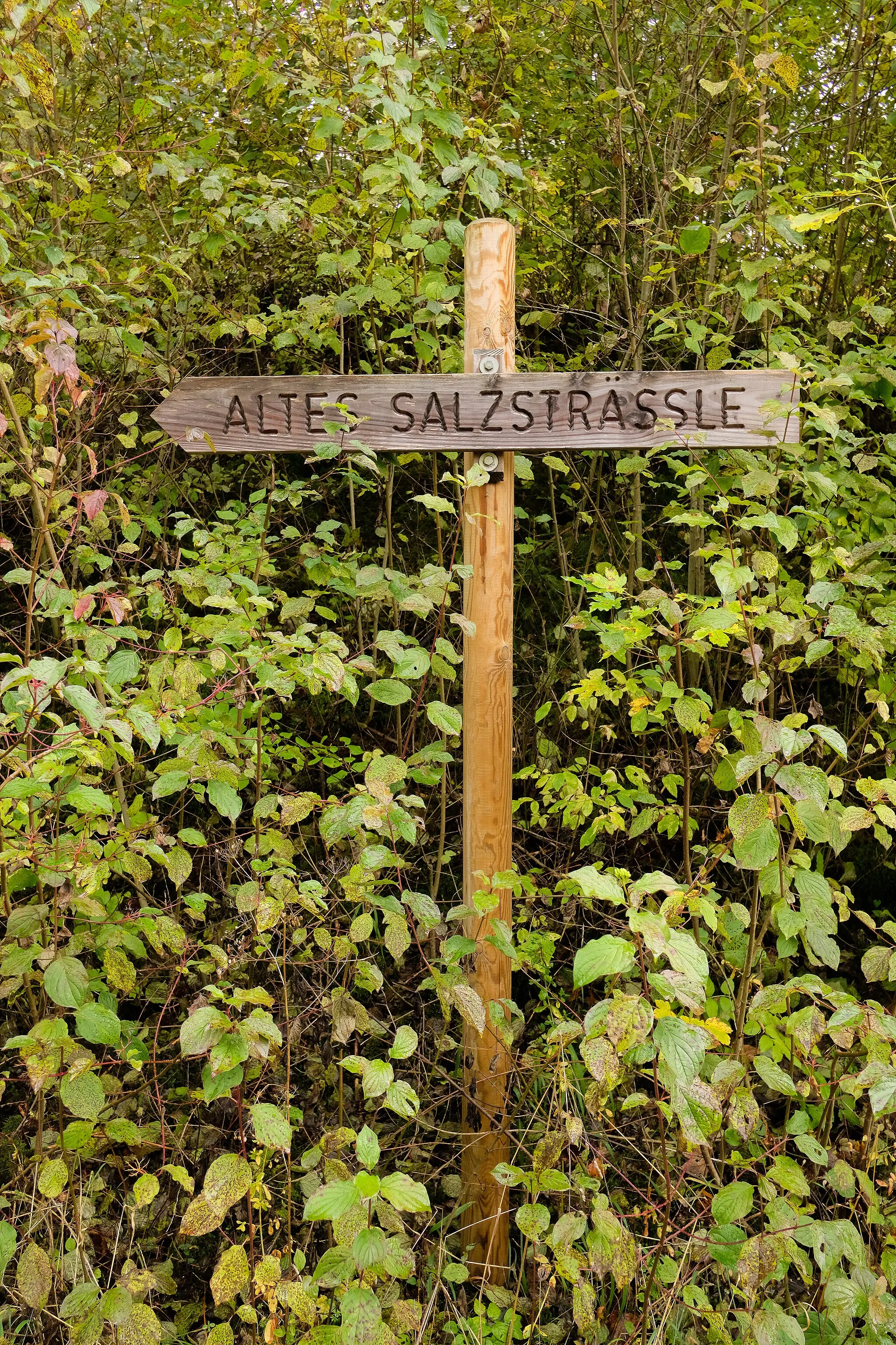 Photo showing: Signpost, Schwenningen, Villingen-Schwenningen, Schwarzwald-Baar-Kreis, Baden-Württemberg, Germany