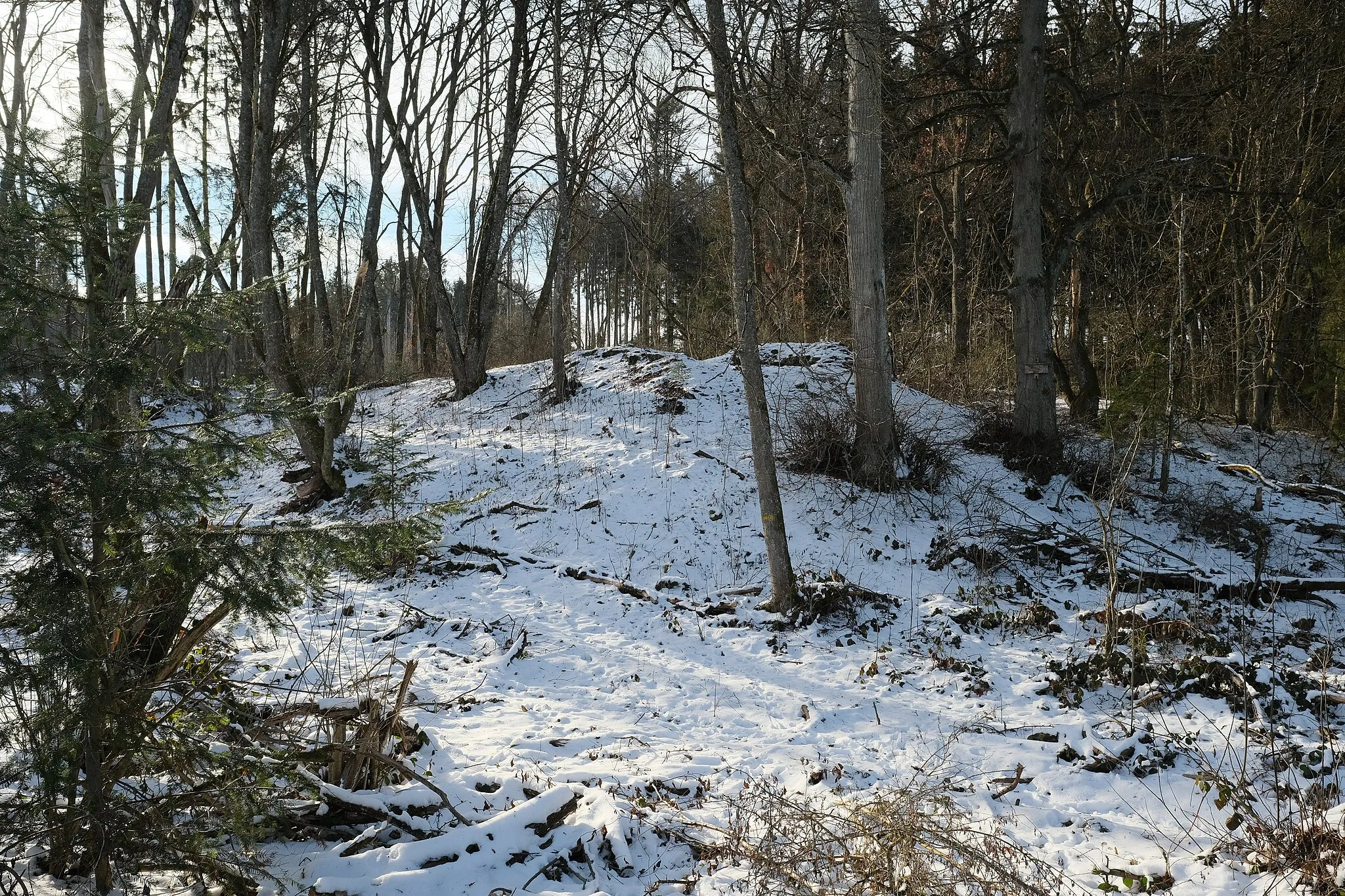 Photo showing: Castle ruin Warenburg, Villingen, Villingen-Schwenningen, district Schwarzwald-Baar-Kreis, Baden Württemberg, Germany