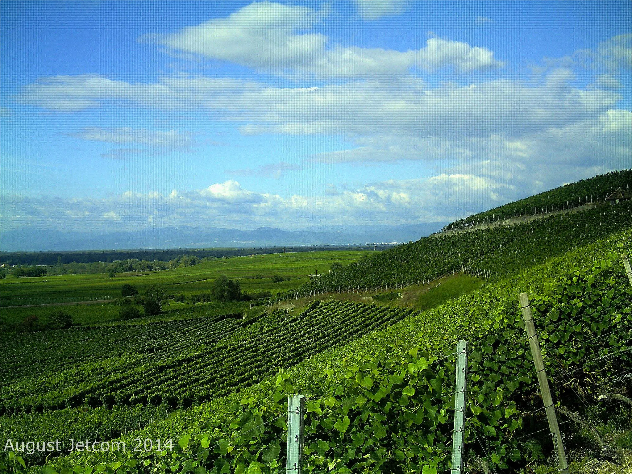 Photo showing: Oberrotweil mit Blick auf Vogesen