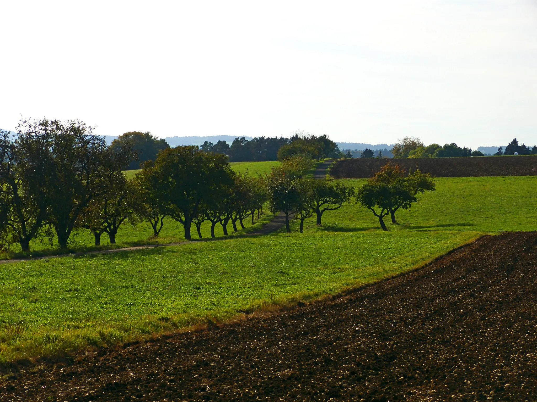 Photo showing: Fields