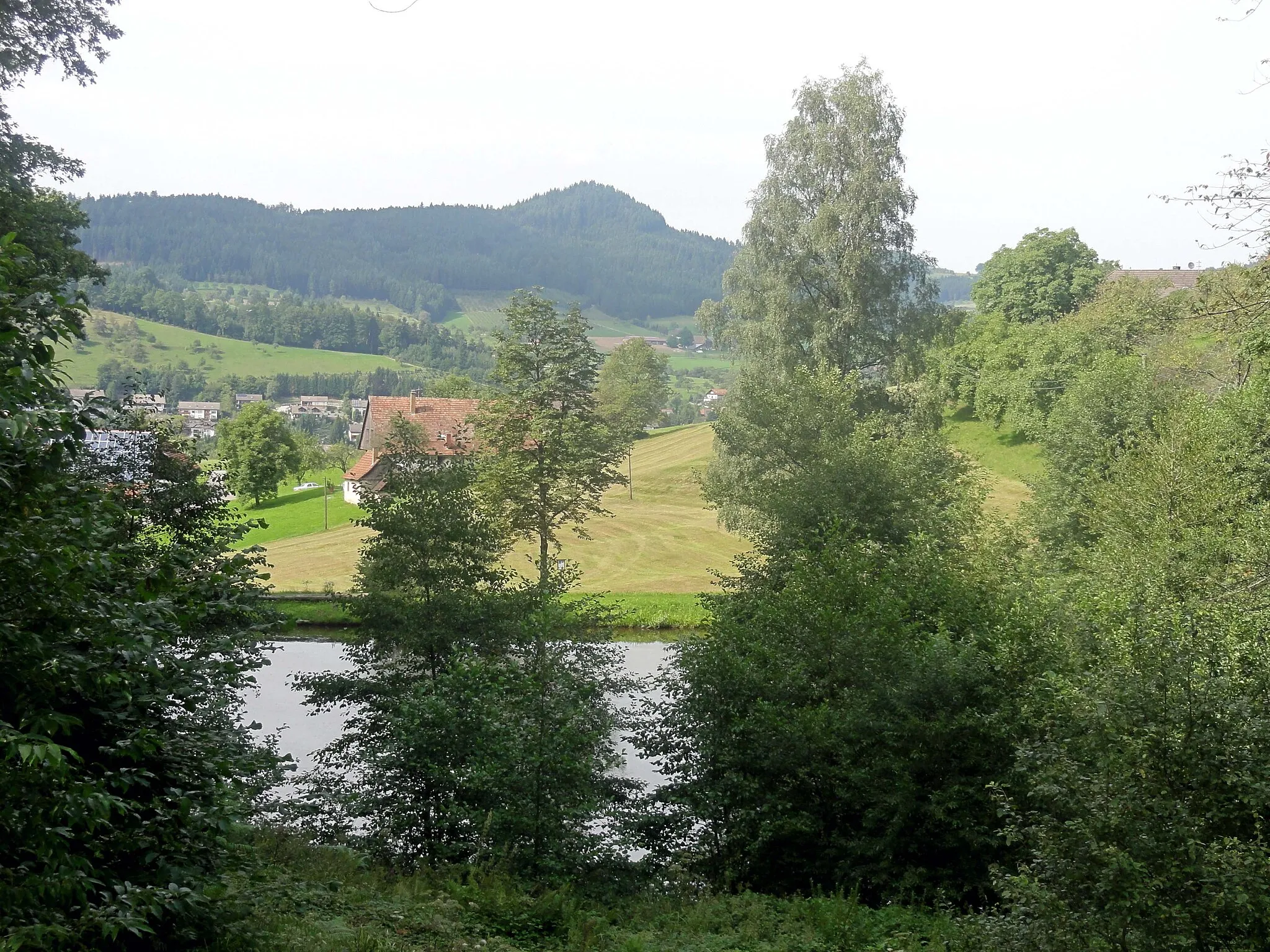 Photo showing: Zell am Harmersbach - Bildbeschreibung siehe Dateiname.