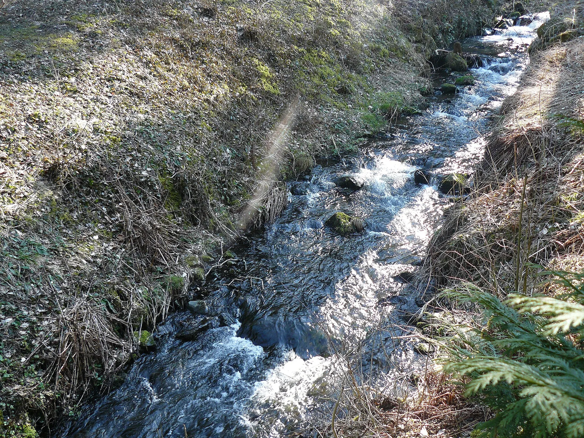 Photo showing: Le ruisseau du Rimbach