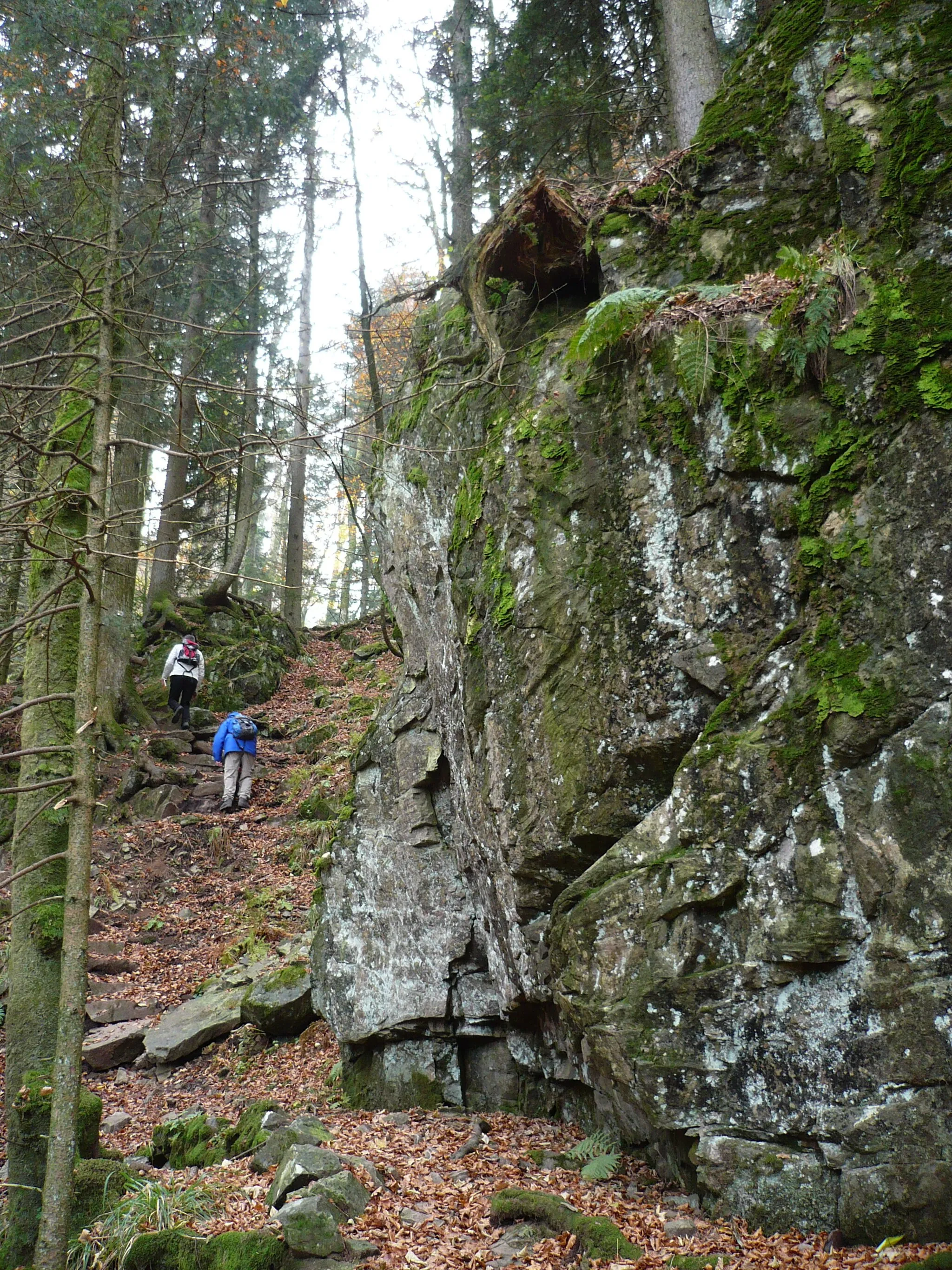 Photo showing: Felsen bei den Hirschbachfällen