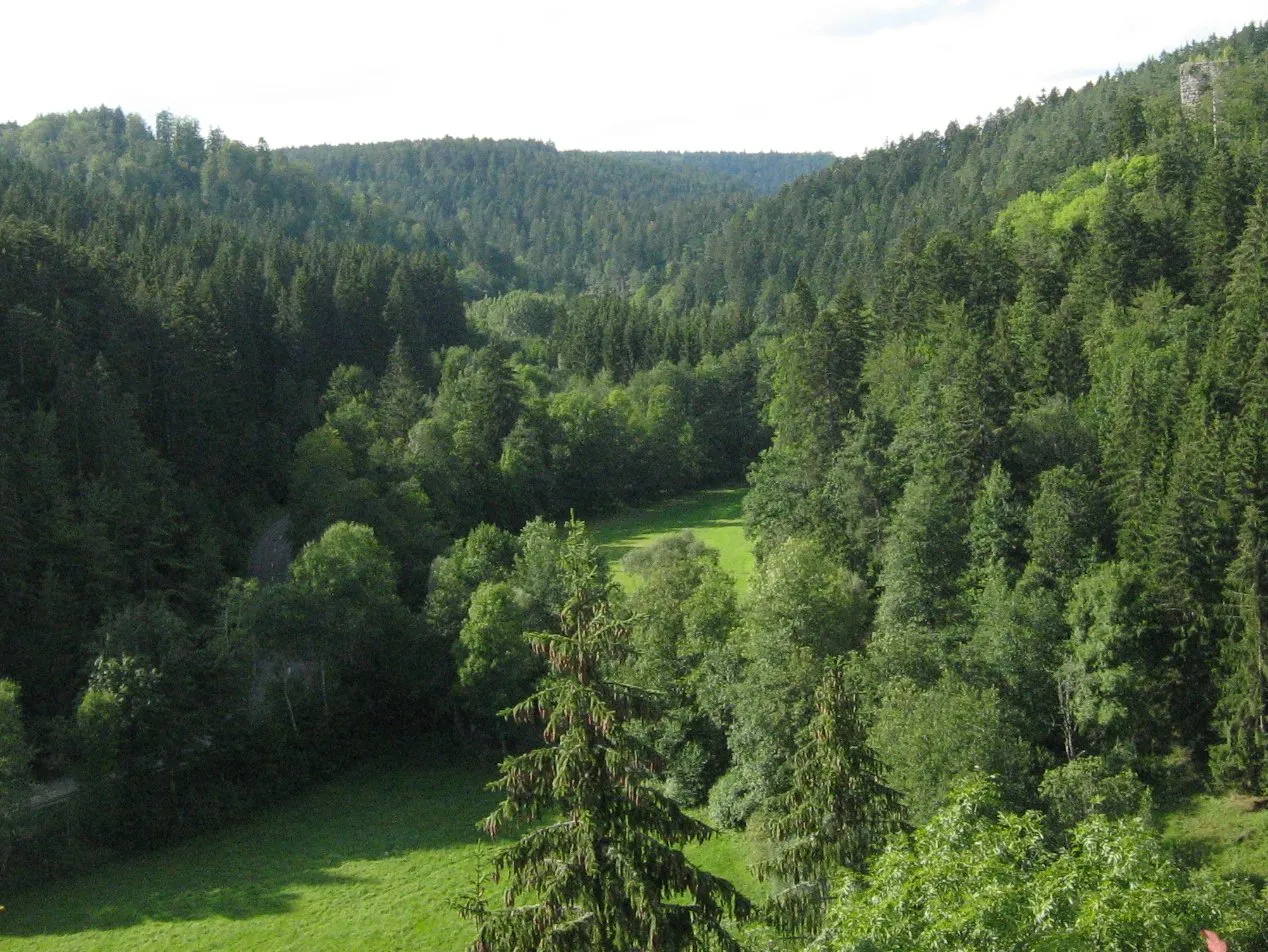Photo showing: Blick von der Burgruine Roggenbach flussaufwärts ins obere Steinatal. Rechts oben im Bild ist die Burgruine Steinegg zu sehen.