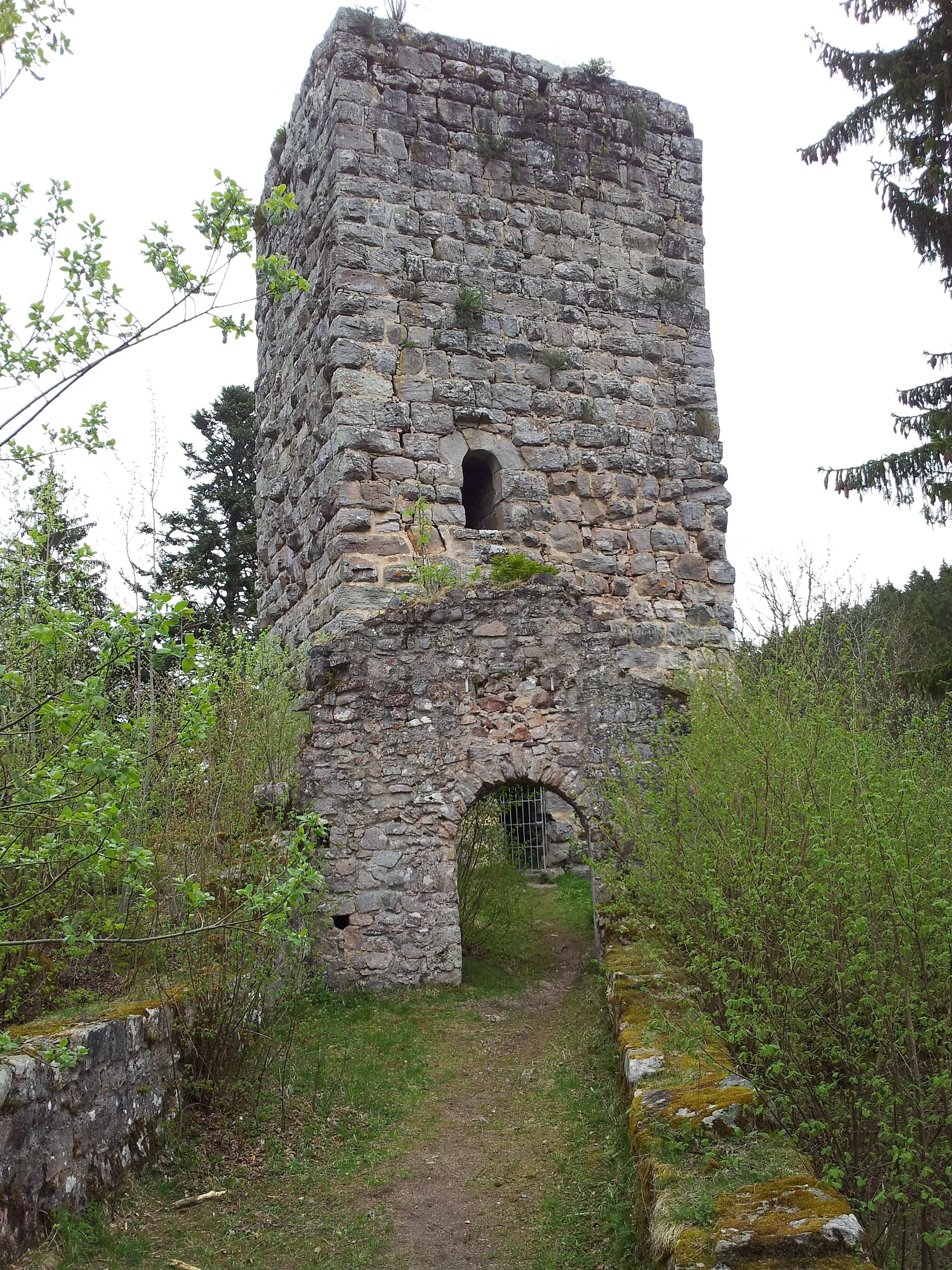 Photo showing: Burgruine Roggenbach - Turm "Weissenburg"