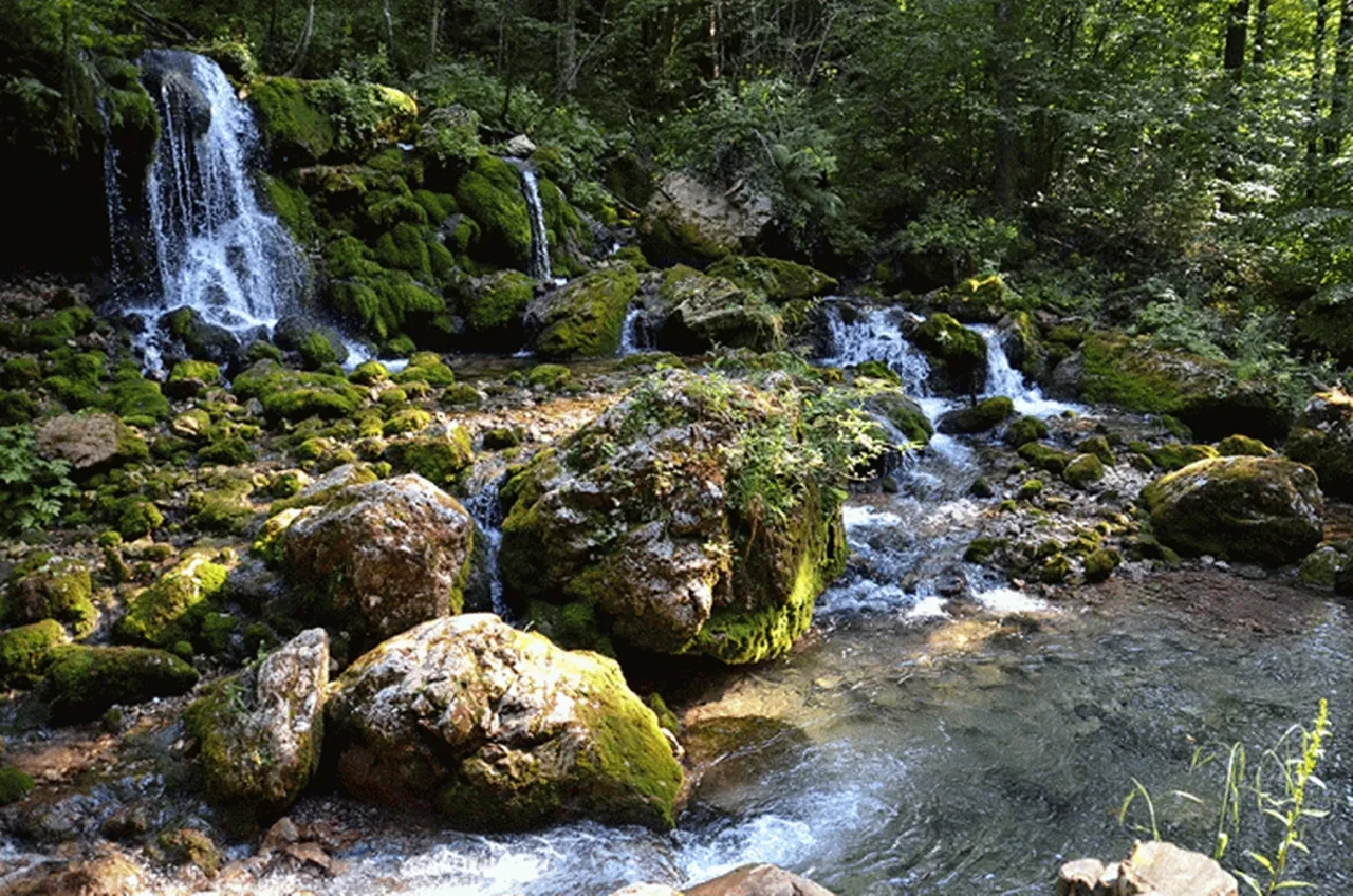 Photo showing: Naturerlebnispark Schwarzwald