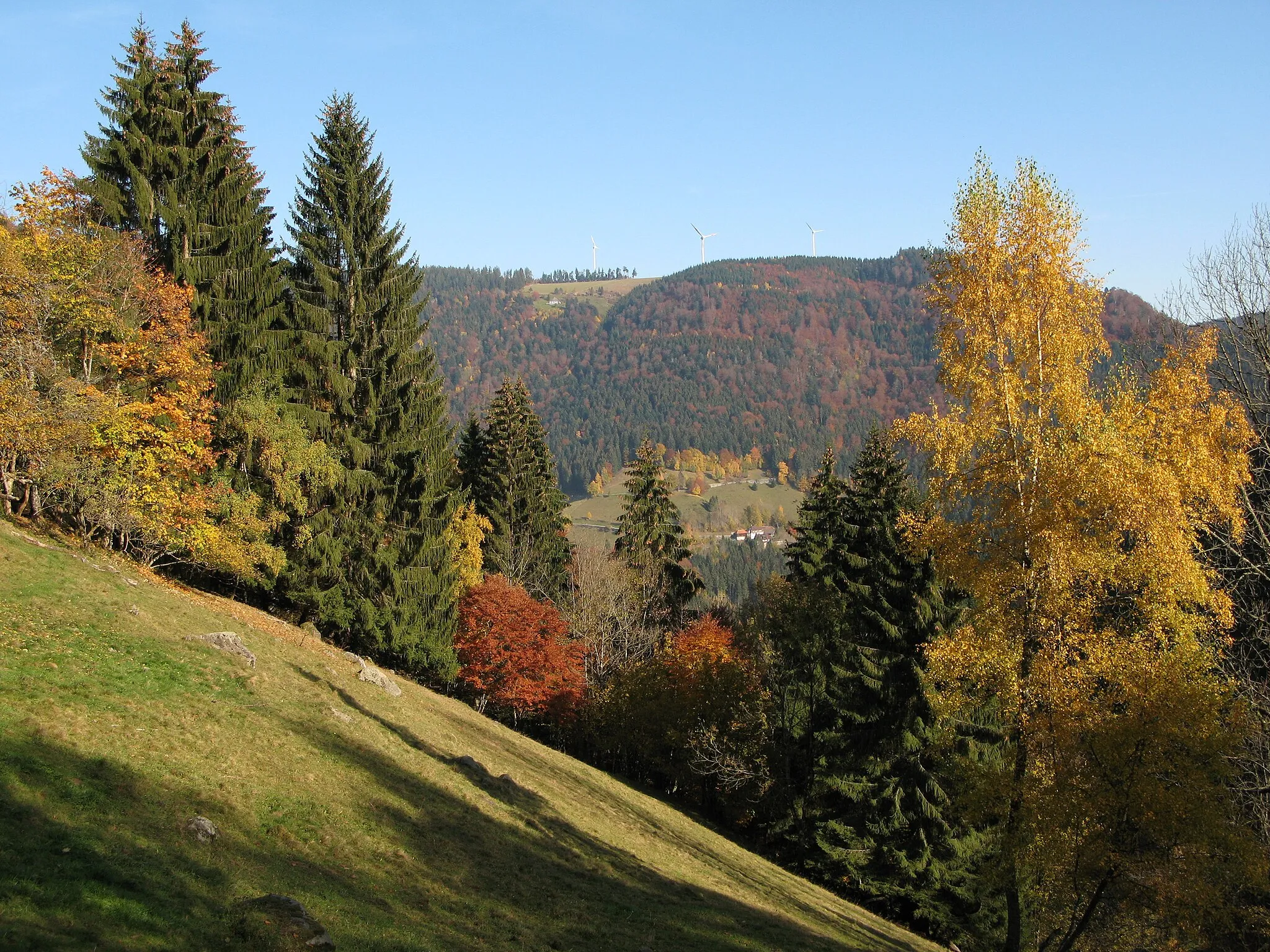 Photo showing: Die Hintereckhütte gesehen am Vesperplatz unterhalb der Zweribachwasserfällen am Zweitälersteig im Schwarzwald.