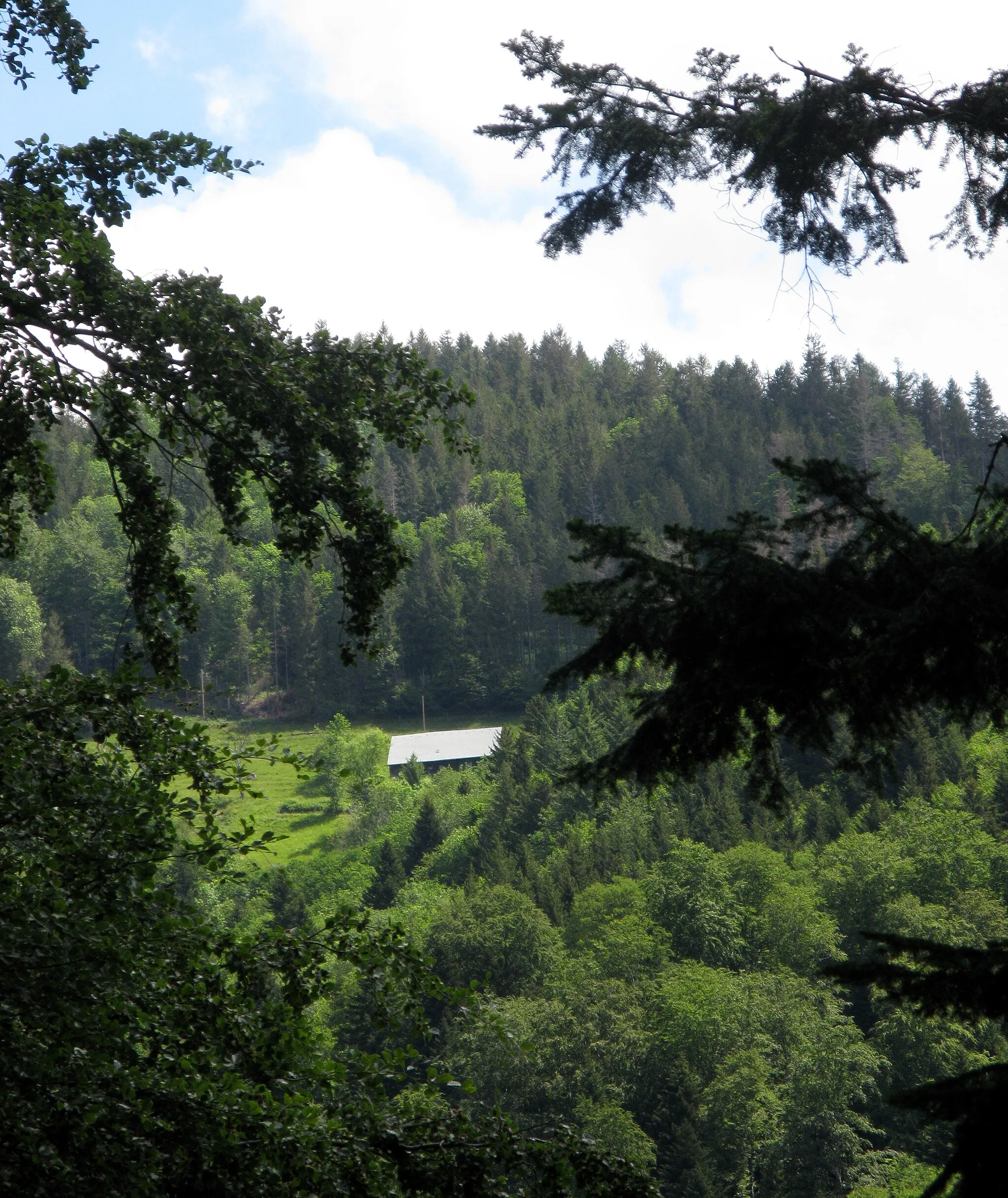 Photo showing: Blick übers Höllental zur Hinterwaldkopfhütte