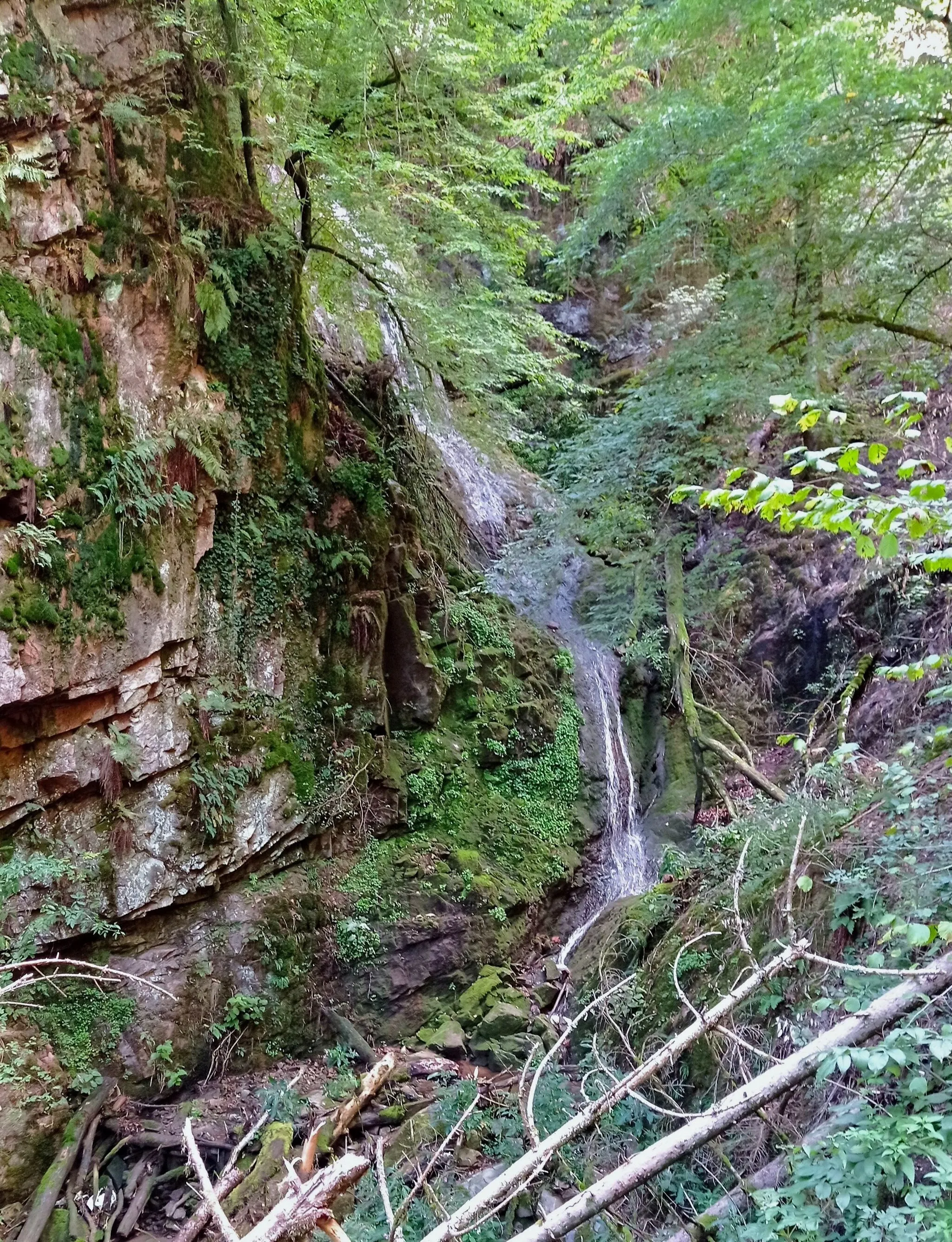 Photo showing: Die Dietlinger Wasserfälle des Großbachs, eines rechten Nebenbachs der unteren Schlücht, liegen versteckt in einer teils klammartigen Schlucht. Nur der obere Fall ist über einen Stichpfad erschlossen. Der dreistufige untere Fall hat eine Höhe von gut 20 Metern.