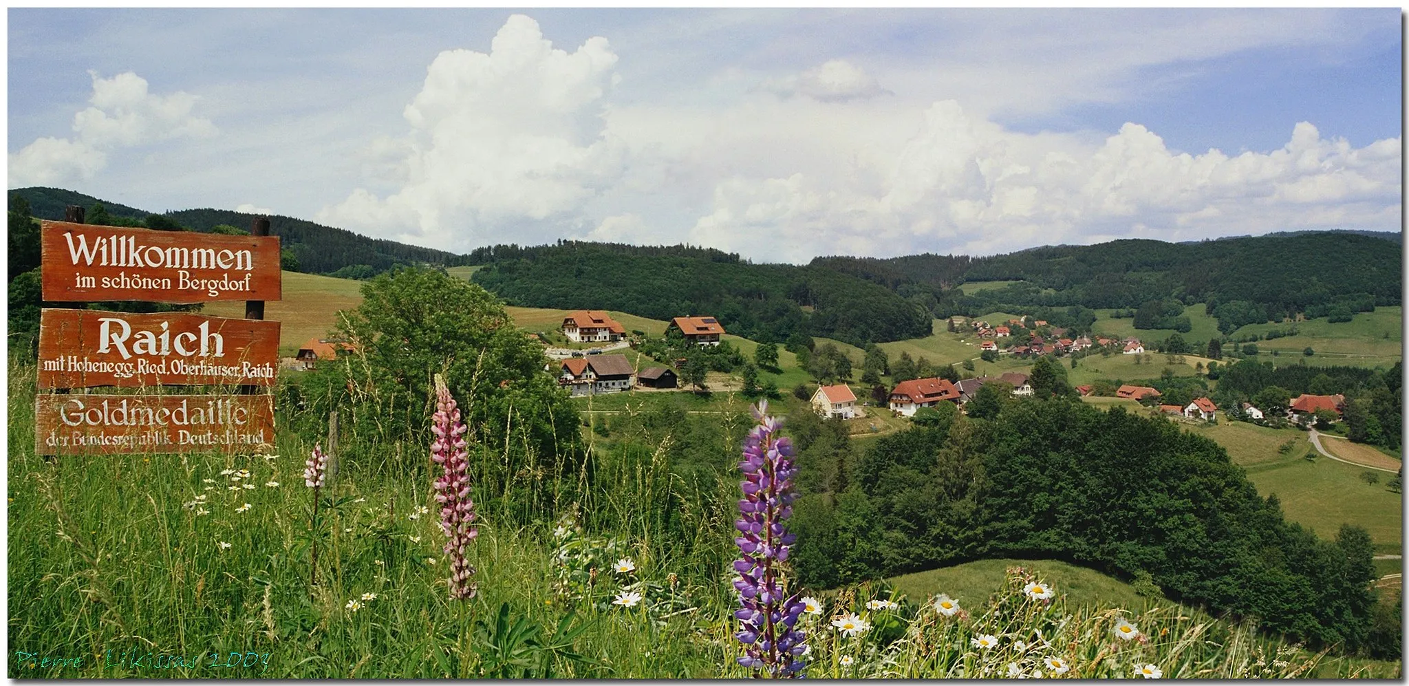 Photo showing: RAICH....Baden-Württemberg