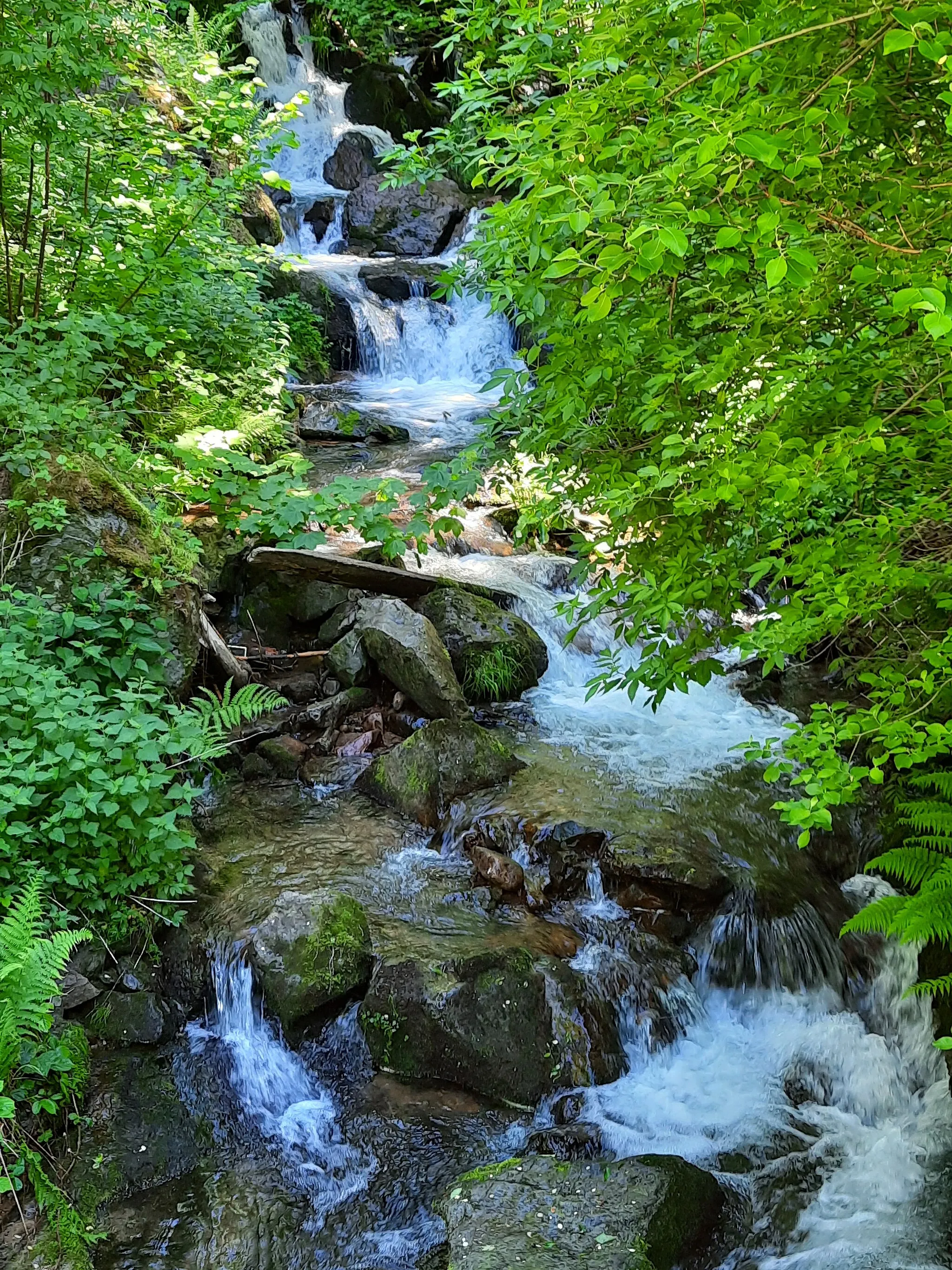 Photo showing: Blick auf die Klemmbach Wasserfälle bei Vorderheubronn (Kleines Wiesental-Neuenweg).
