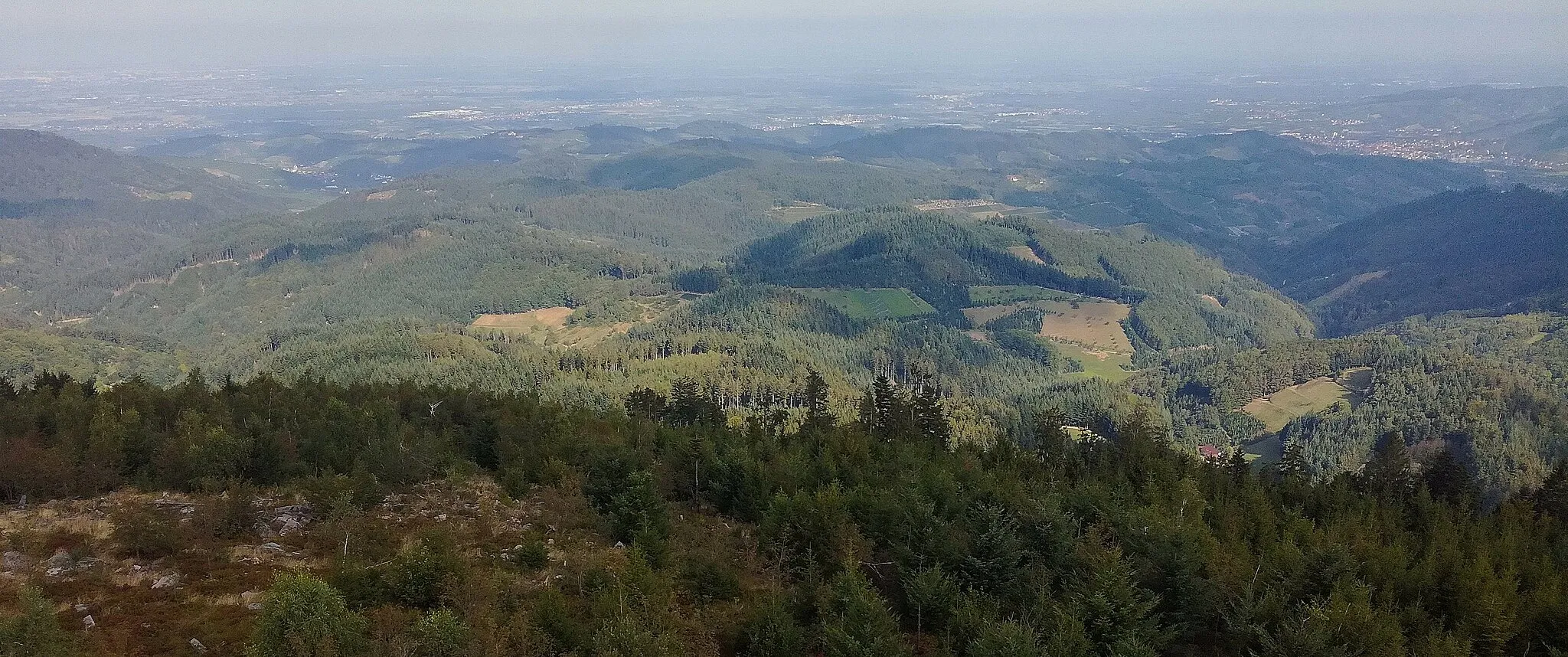 Photo showing: Moosturm (auf Mooskopf bei Oppenau): Aussicht Richtung Nordwesten, markantere Ortschaften in der Ferne: Durbach (links), Oberkirch (rechts); September 2019